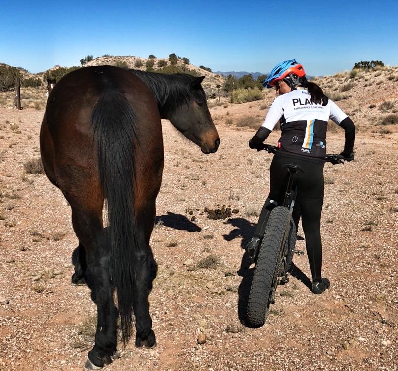 A person in cycling gear stands next to a mountain bike on a sandy trail, looking back at a brown horse. The scene is set in a rocky, arid landscape under a clear blue sky. The horse appears to be grazing, while the cyclist gazes at it, creating a moment of connection in nature. Mariposa Fat Bike Trails mountain bike trail.