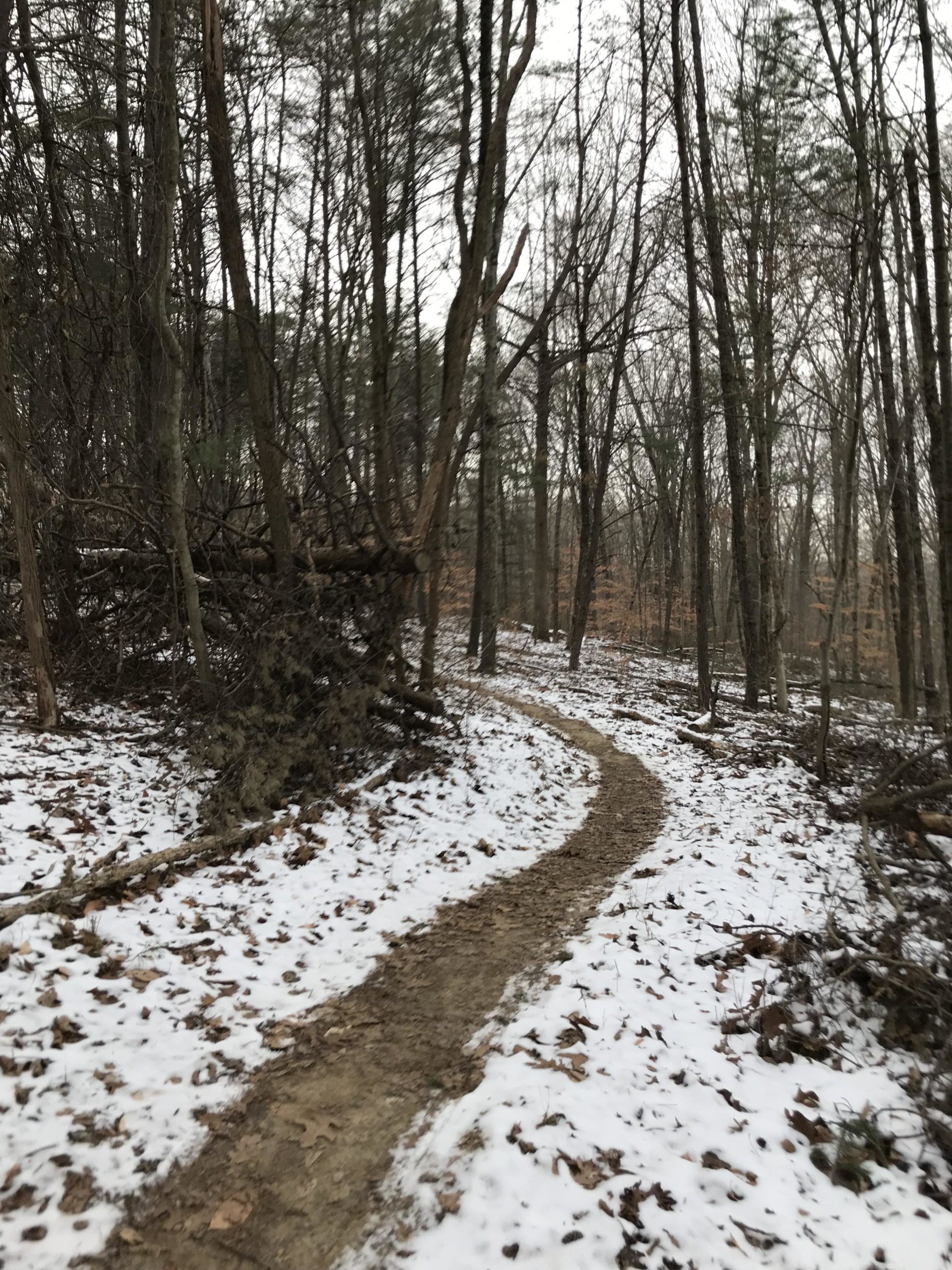 A winding dirt path through a snowy forest, lined with bare trees and scattered leaves. The scene captures a serene and tranquil winter atmosphere, with a mix of snow and earthy tones on the ground. Brown County Park mountain bike trail.