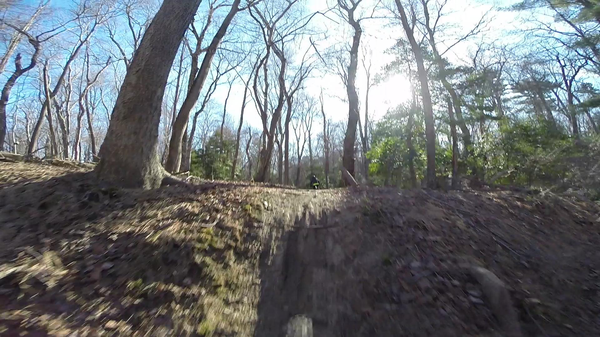 A mountain biker navigating a dirt trail through a wooded area with bare trees, under a clear blue sky, and bright sunlight filtering through the branches. Allaire State Park mountain bike trail.