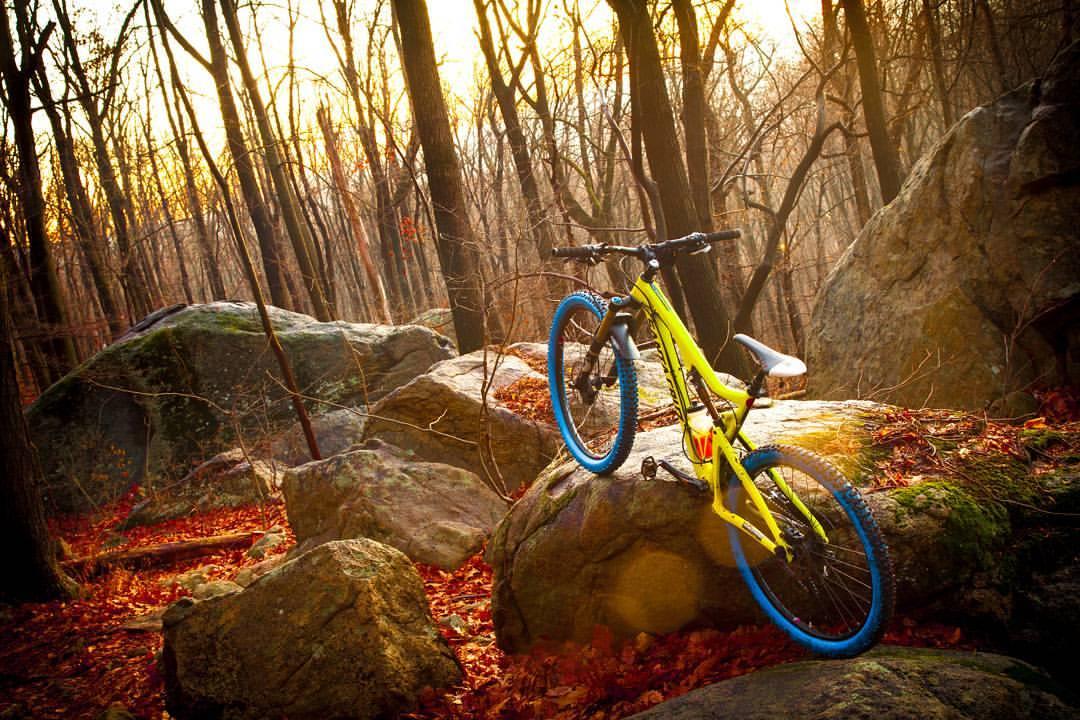 Santa Cruz Bronson: A bright yellow mountain bike with blue wheels is perched on a rock in a wooded area, surrounded by autumn leaves and trees. The setting sun casts a warm glow, highlighting the natural surroundings.