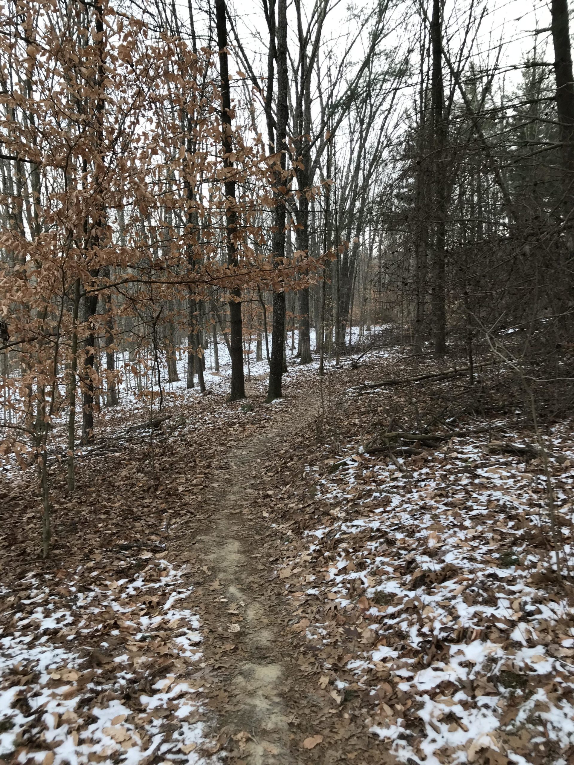 A winding dirt trail through a forest during winter, surrounded by bare trees and scattered dead leaves. Light patches of snow are visible along the trail and on the ground. The atmosphere appears calm and serene, with overcast skies. Brown County Park mountain bike trail.