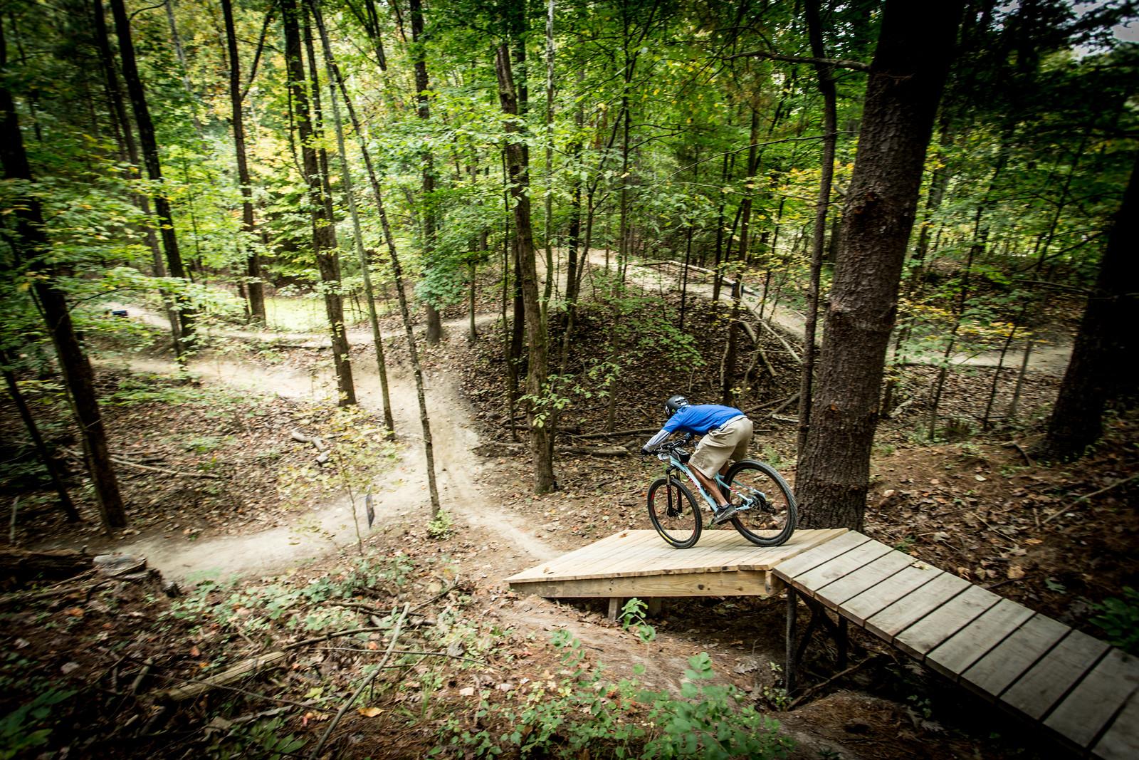 A mountain biker navigating a wooden bridge on a winding trail in a dense forest, surrounded by trees in various shades of green, with dirt paths curving through the landscape. Griffin Bike Park mountain bike trail.
