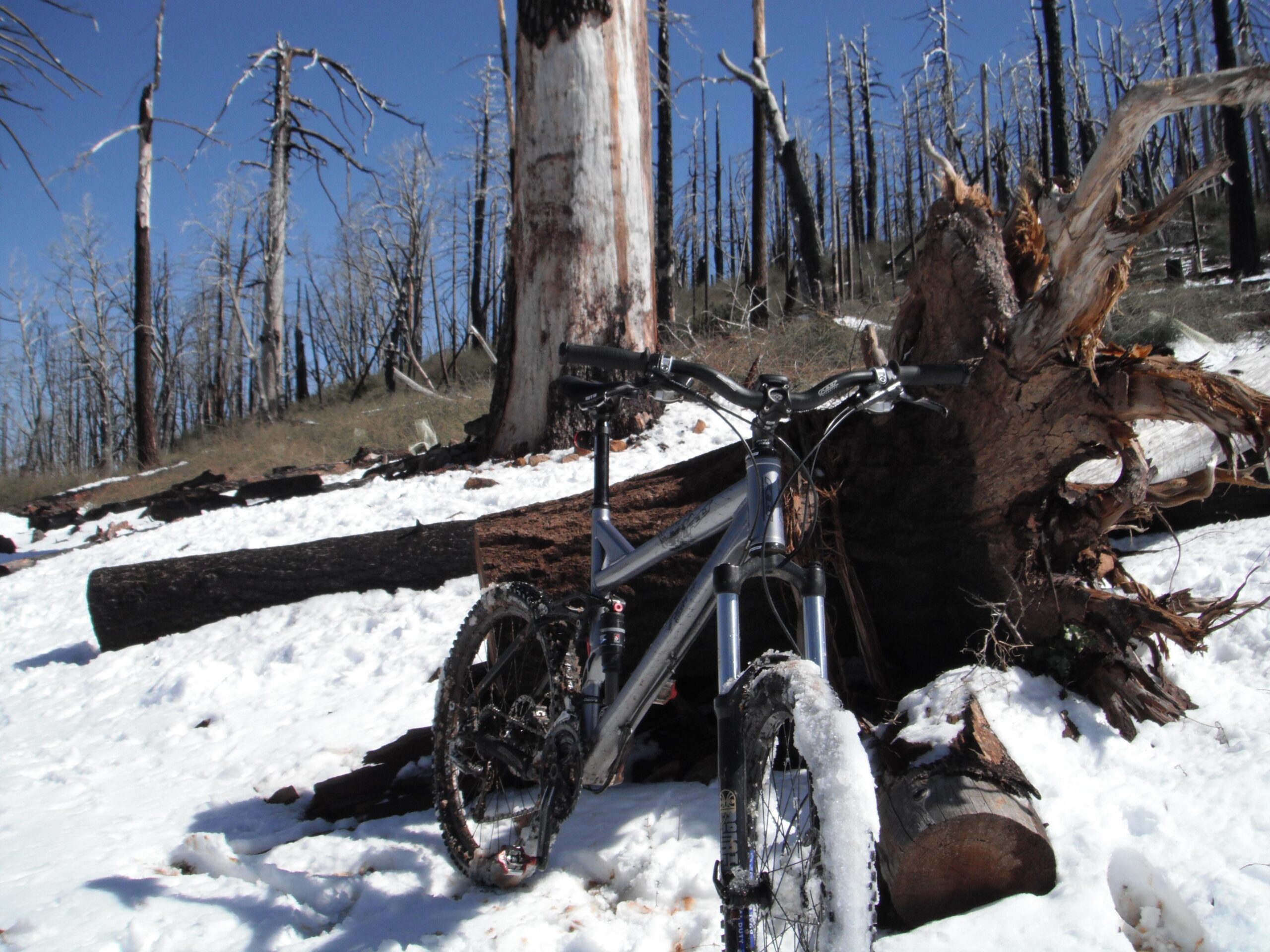 Felt Redemption 3: A mountain bike resting against a fallen tree trunk in a snowy landscape, surrounded by charred tree stumps from a wildfire, with a clear blue sky overhead.
