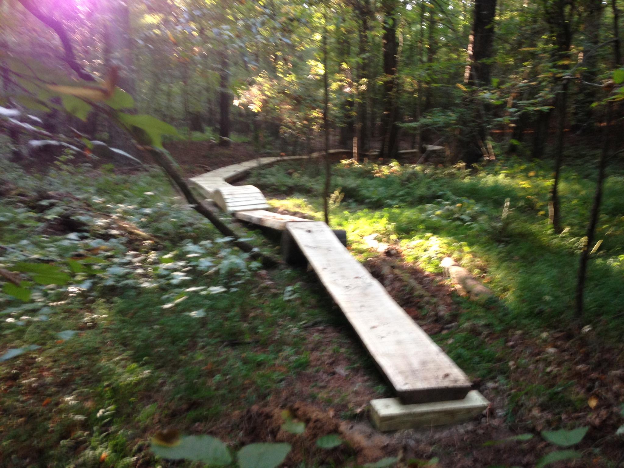  Allatoona Creek Park mountain bike trail.
