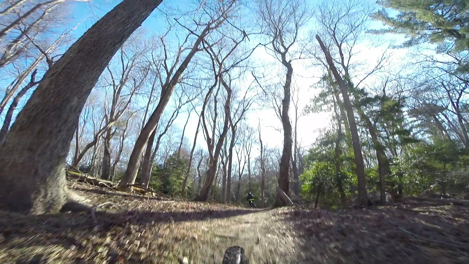 A view of a dirt trail winding through a wooded area with bare trees in the background, under a clear blue sky. In the distance, a cyclist can be seen riding along the path, surrounded by autumn leaves on the ground and patches of greenery. Allaire State Park mountain bike trail.