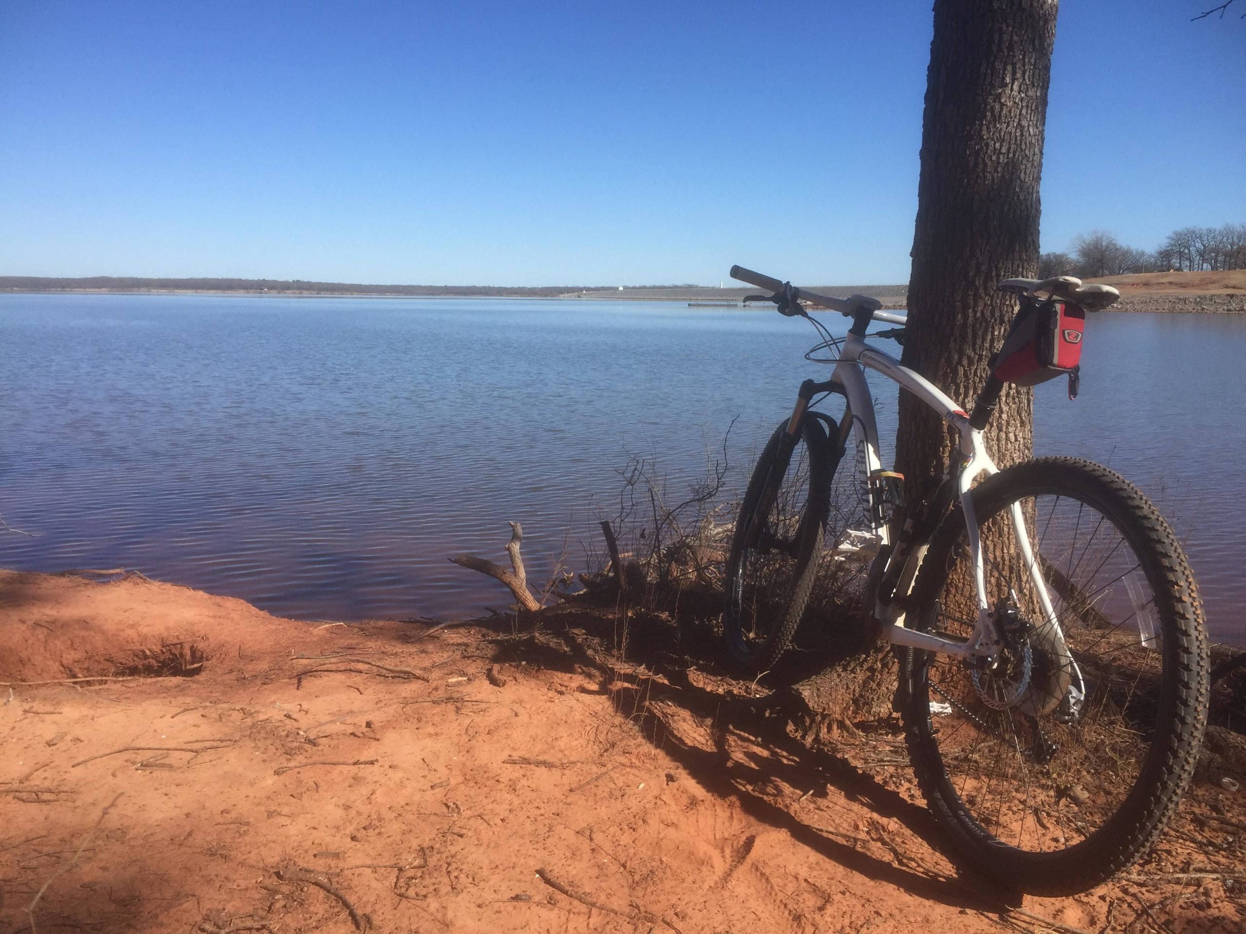 A mountain bike leaning against a tree by a calm lake, with sandy ground and a clear blue sky. The scene captures a peaceful outdoor setting ideal for cycling and enjoying nature. Thunderbird Lake Clear Bay mountain bike trail.