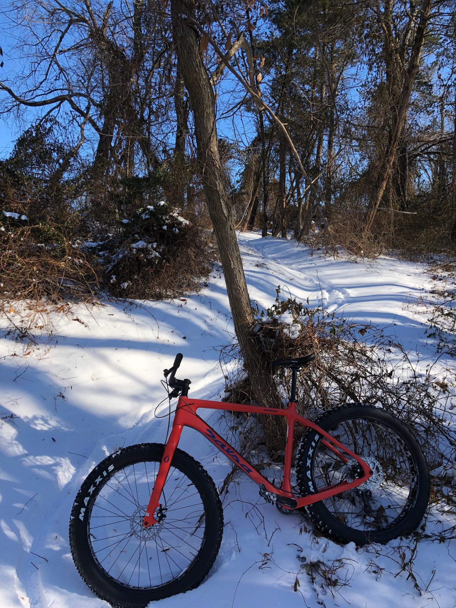 A bright red fat tire bike is leaning against a tree in a snowy forest. In the background, a trail winds through the snow-covered ground, with trees and bushes surrounding the area under a clear blue sky. Six Mile Run mountain bike trail.