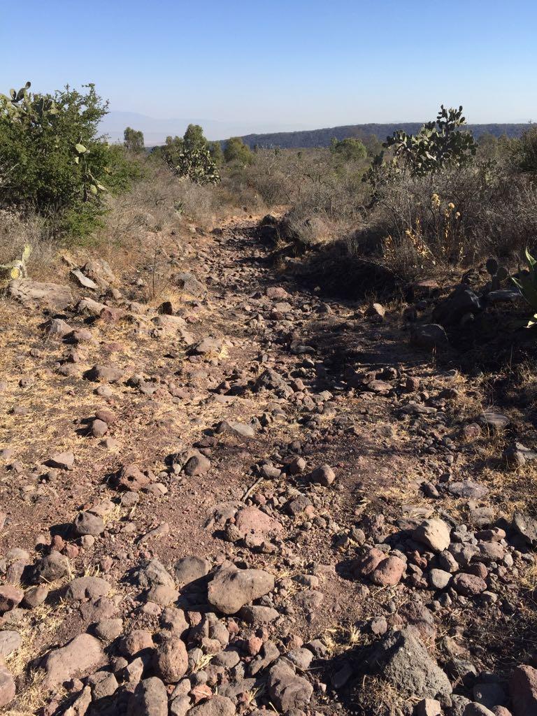 A rocky pathway winding through a dry landscape, surrounded by sparse vegetation and cacti, under a clear blue sky. The terrain is uneven, with various sizes of stones scattered along the trail. In the distance, rolling hills are visible. Reserva El Cimatario mountain bike trail.