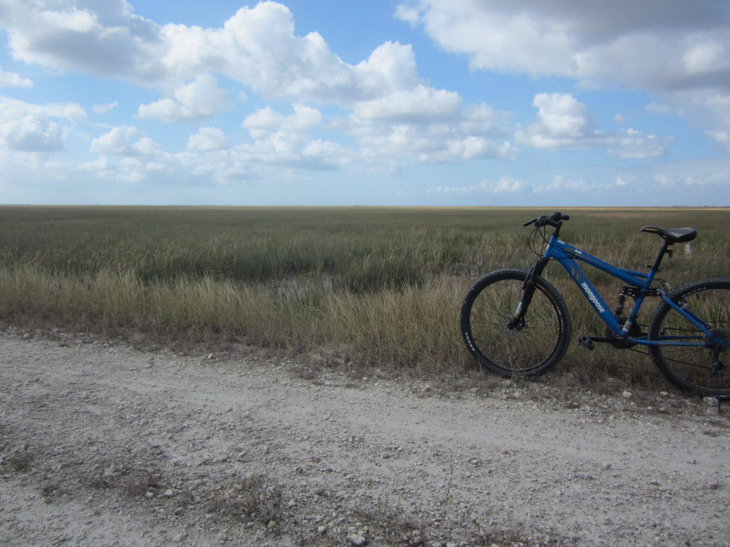A blue mountain bike leans against a gravel path, overlooking a vast expanse of tall grass under a partly cloudy sky. The scene captures a serene outdoor landscape, ideal for biking and exploring nature. East Everglades Levee Trail mountain bike trail.