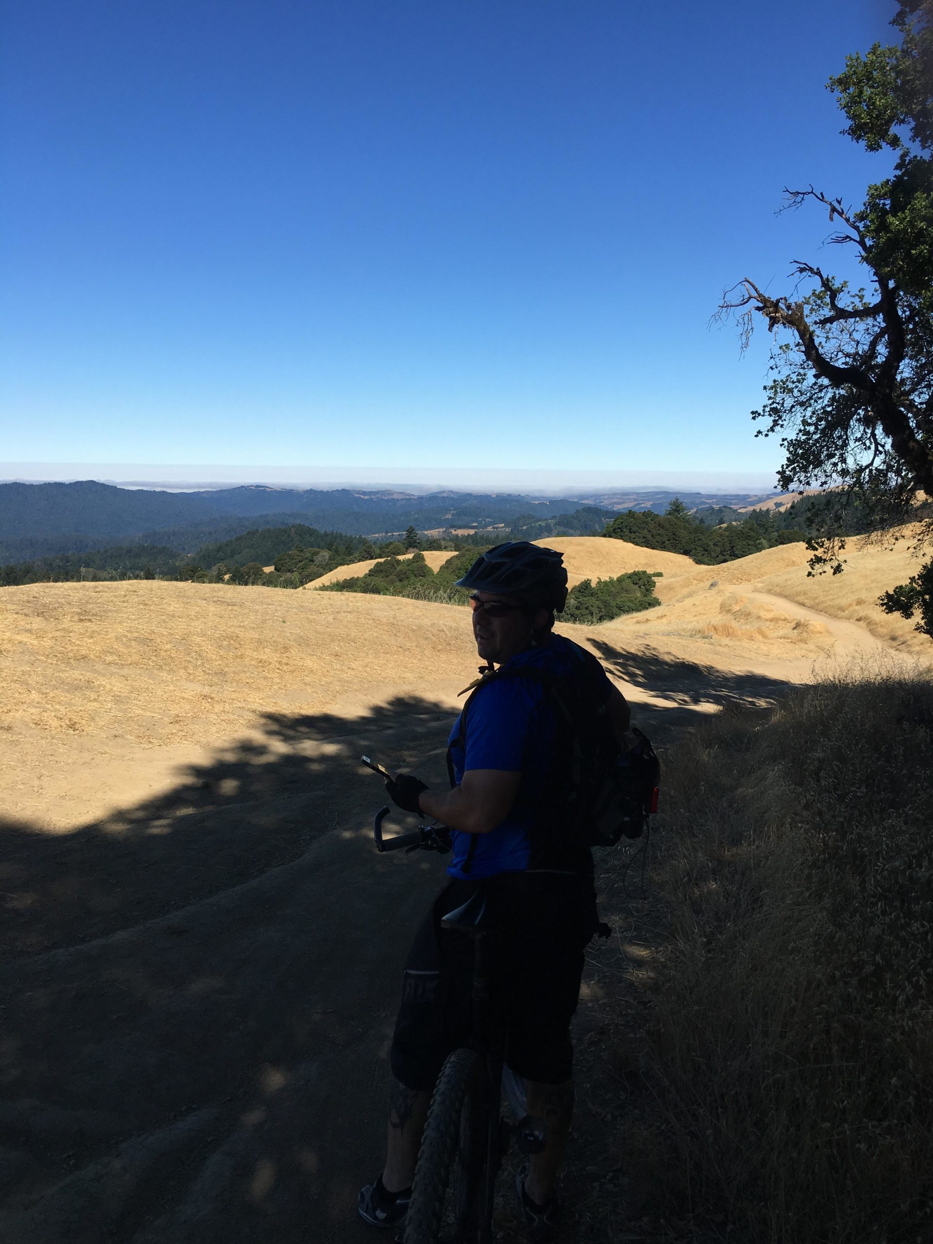 A person in a blue shirt and shorts stands beside a mountain bike on a dirt trail, overlooking a scenic landscape of rolling hills and valleys under a clear blue sky. Monte Bello / Rancho San Antonio mountain bike trail.