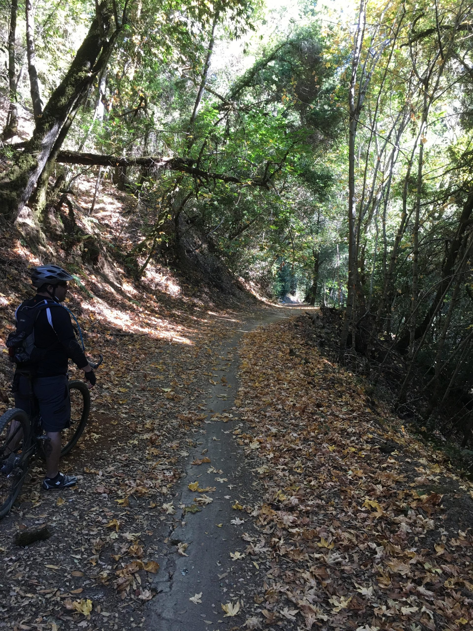 A person in a cycling outfit stands beside a winding dirt path surrounded by dense greenery and autumn leaves. The path, partially covered in fallen leaves, leads into a sunlit forested area. Monte Bello / Rancho San Antonio mountain bike trail.