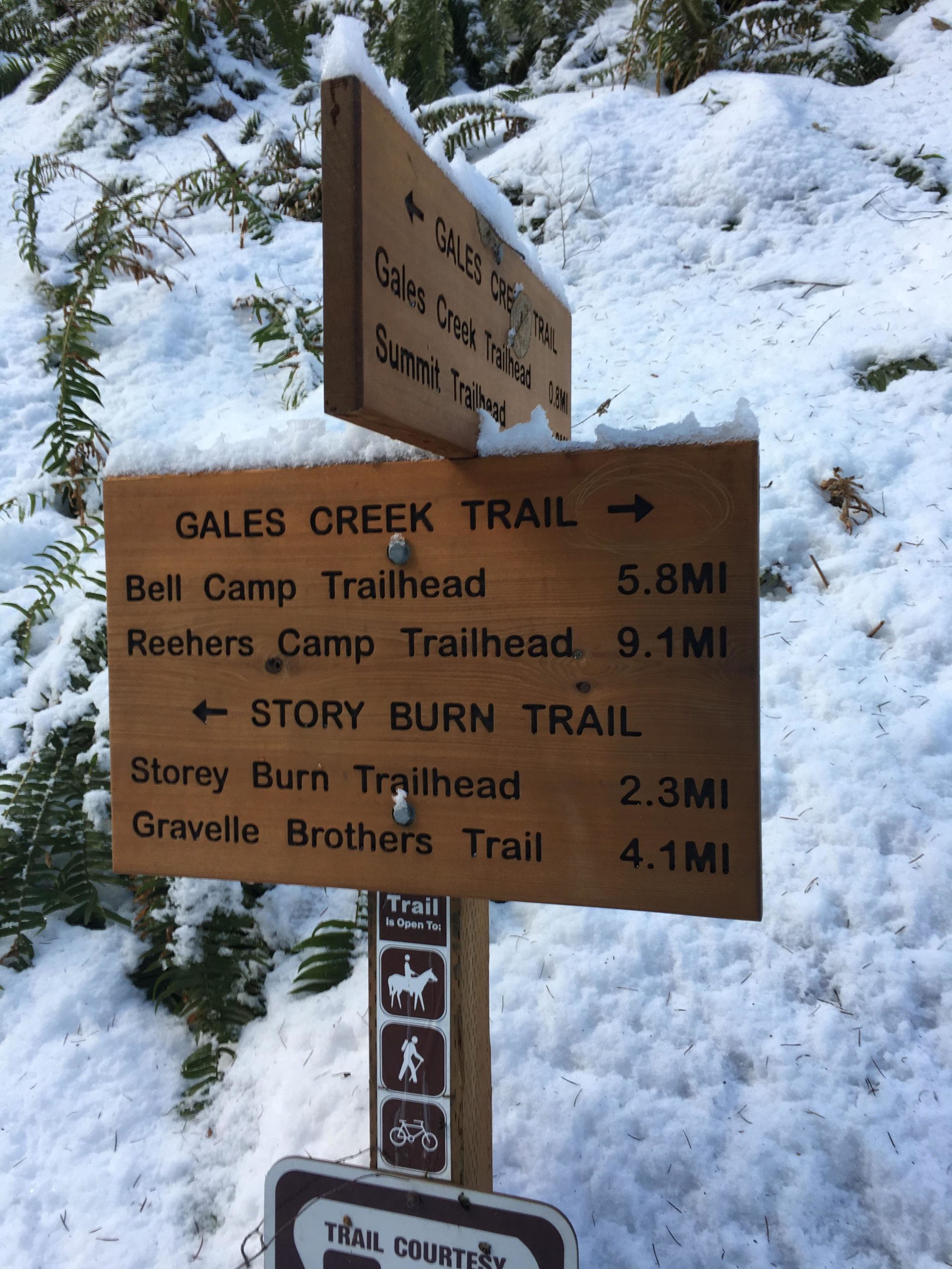 Wooden trail sign featuring multiple directional arrows and distances to various trailheads, covered in a light layer of snow, with greenery in the background. Trails listed include Gales Creek Trail, Bell Camp Trailhead, Reeher's Camp Trailhead, Story Burn Trail, and Gravelle Brothers Trail. Icons indicating trail use for horses, hikers, and cyclists are also visible. Gales Creek Trail mountain bike trail.
