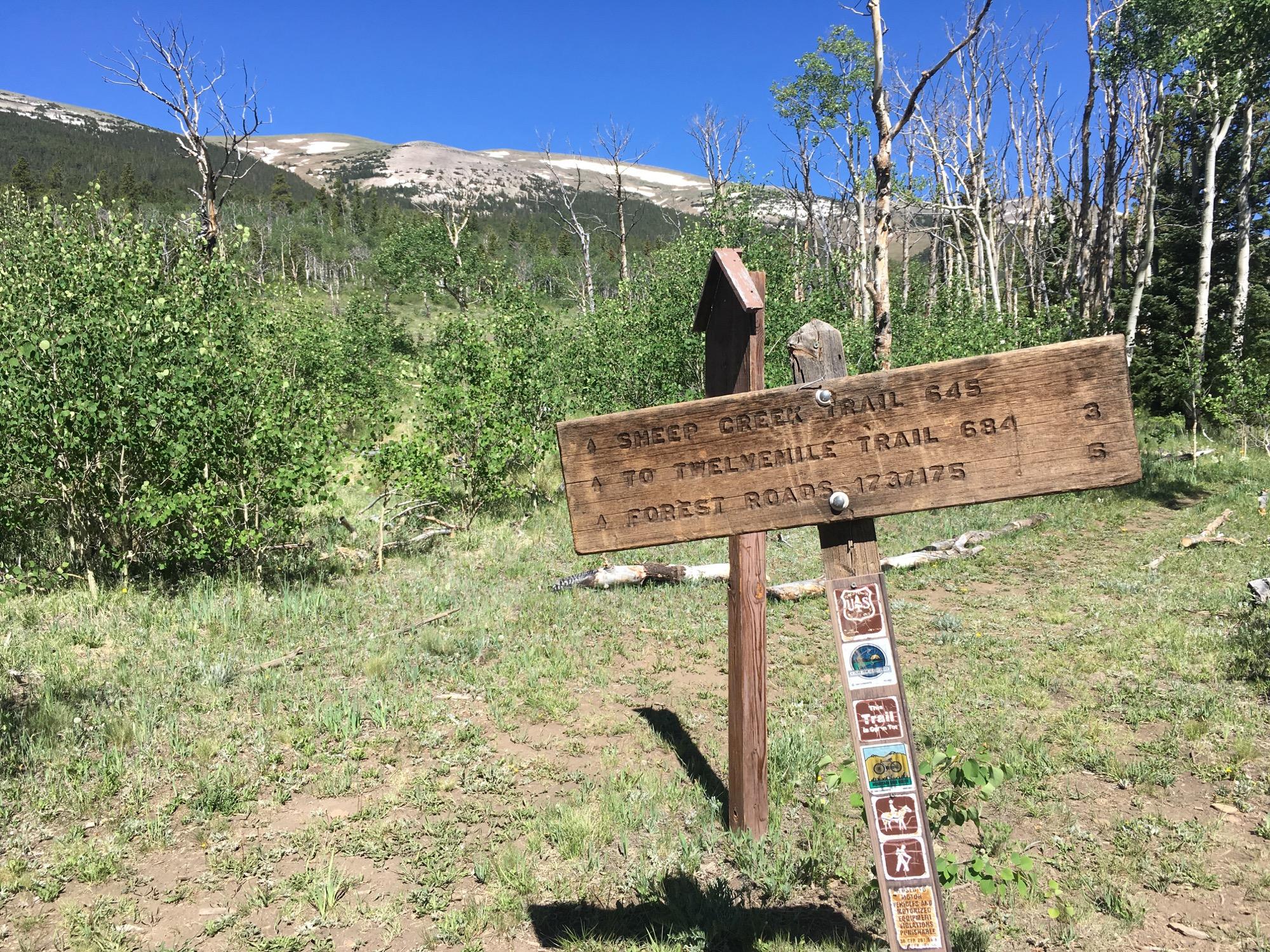 Wooden trail signpost indicating directions to Sheep Creek Trail 645 and Twelvemile Trail 684, set against a backdrop of green foliage and a mountain landscape. Clear blue sky is visible above the mountains in the distance. Sheep Creek mountain bike trail.