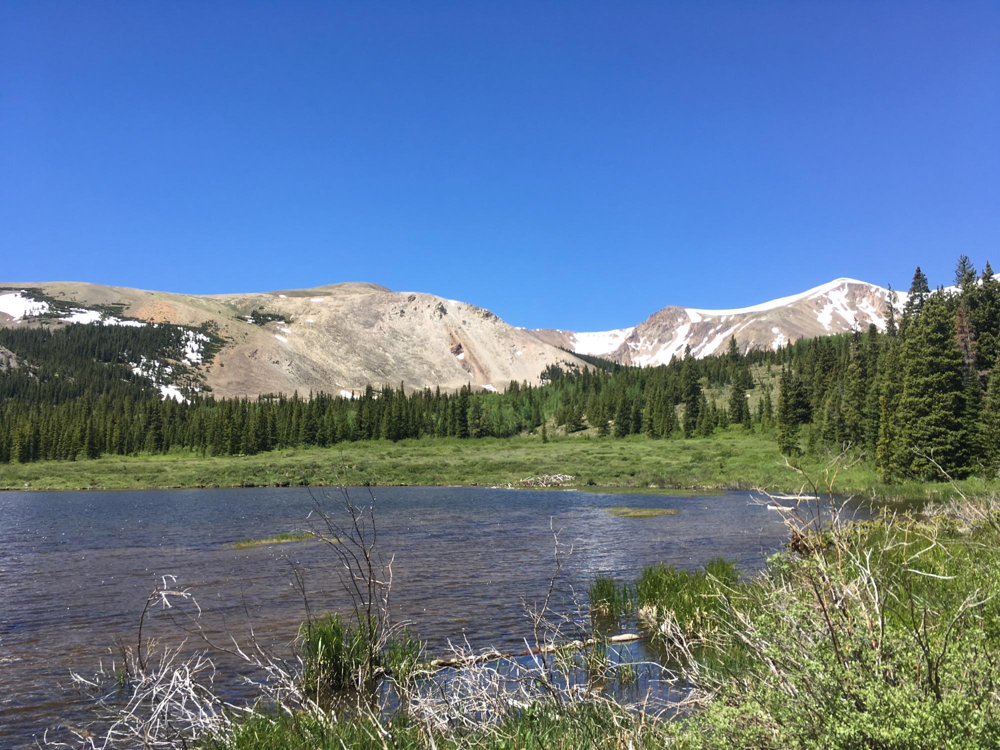 A scenic view of a tranquil lake surrounded by lush greenery and trees, with snow-capped mountains in the background under a clear blue sky. The foreground features aquatic plants and dried branches near the water's edge. Twelvemile Trail mountain bike trail.