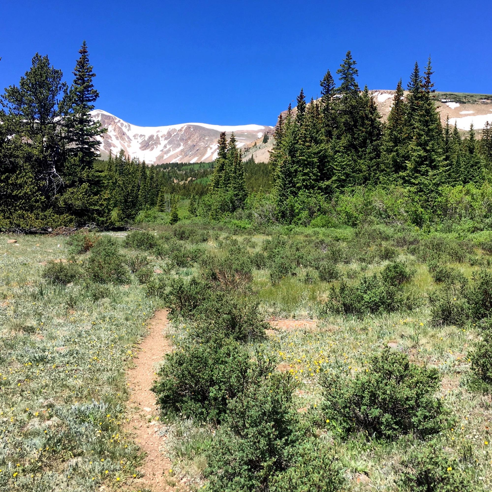 Twelvemile Trail Mountain Bike Trail in Fairplay, Colorado Directions