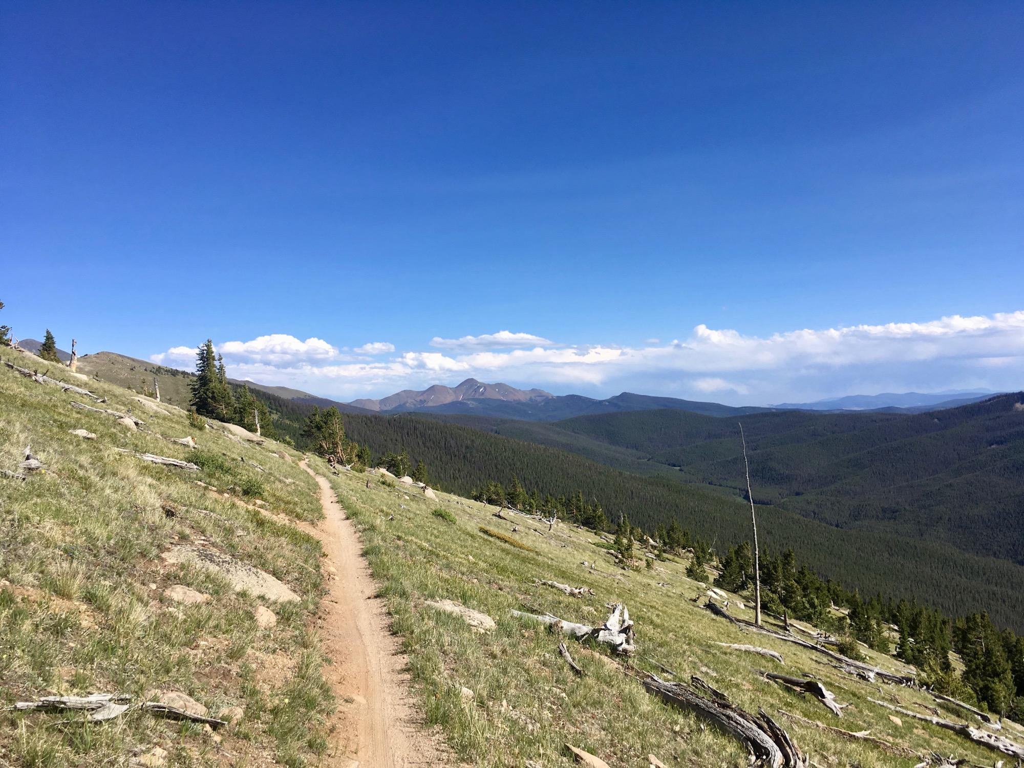 A scenic view of a winding dirt trail leading through a grassy hillside, surrounded by evergreen trees and mountains in the distance under a clear blue sky with a few scattered clouds. Monarch Crest Trail mountain bike trail.