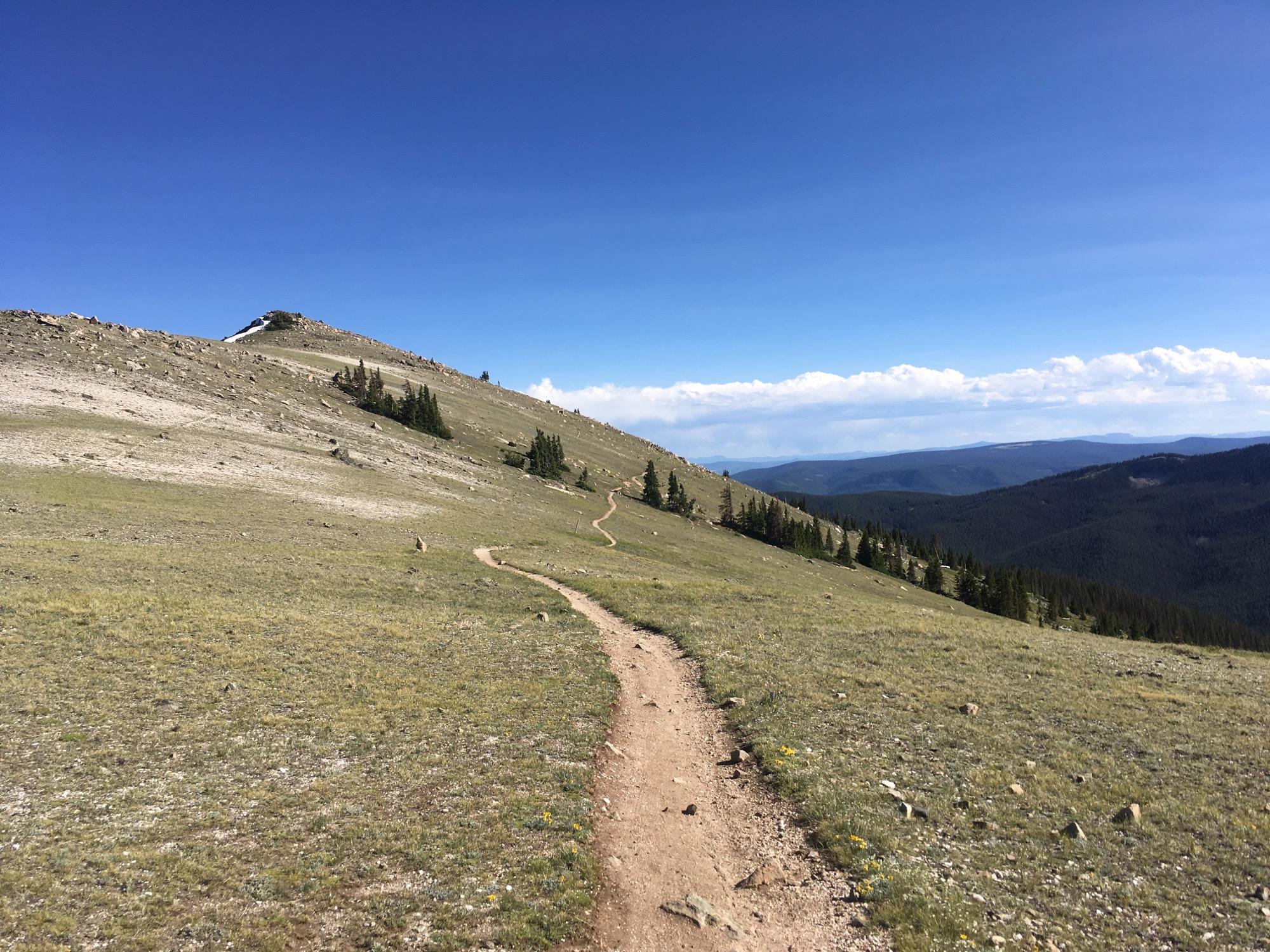 A winding dirt trail leads through a grassy landscape, ascending a hillside dotted with boulders and patches of trees, under a clear blue sky with scattered clouds. Monarch Crest Trail mountain bike trail.