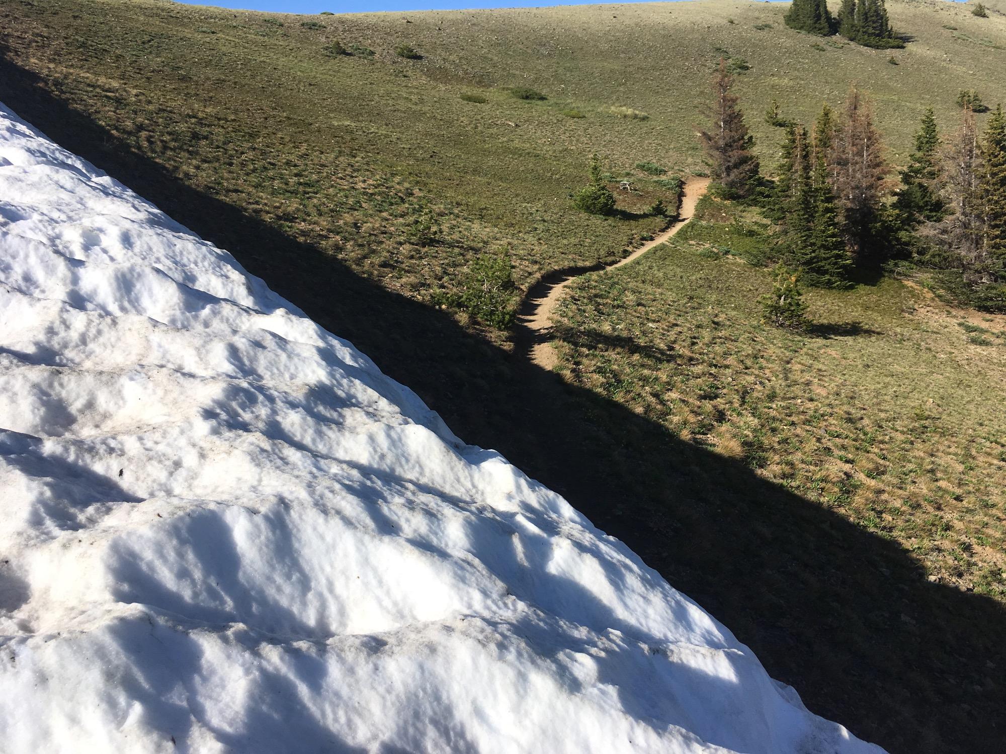 A snowbank on the left contrasts with a grassy hillside and a winding dirt path leading into the distance. The scene is framed by patches of green grass and evergreen trees under a clear blue sky. Monarch Crest Trail mountain bike trail.