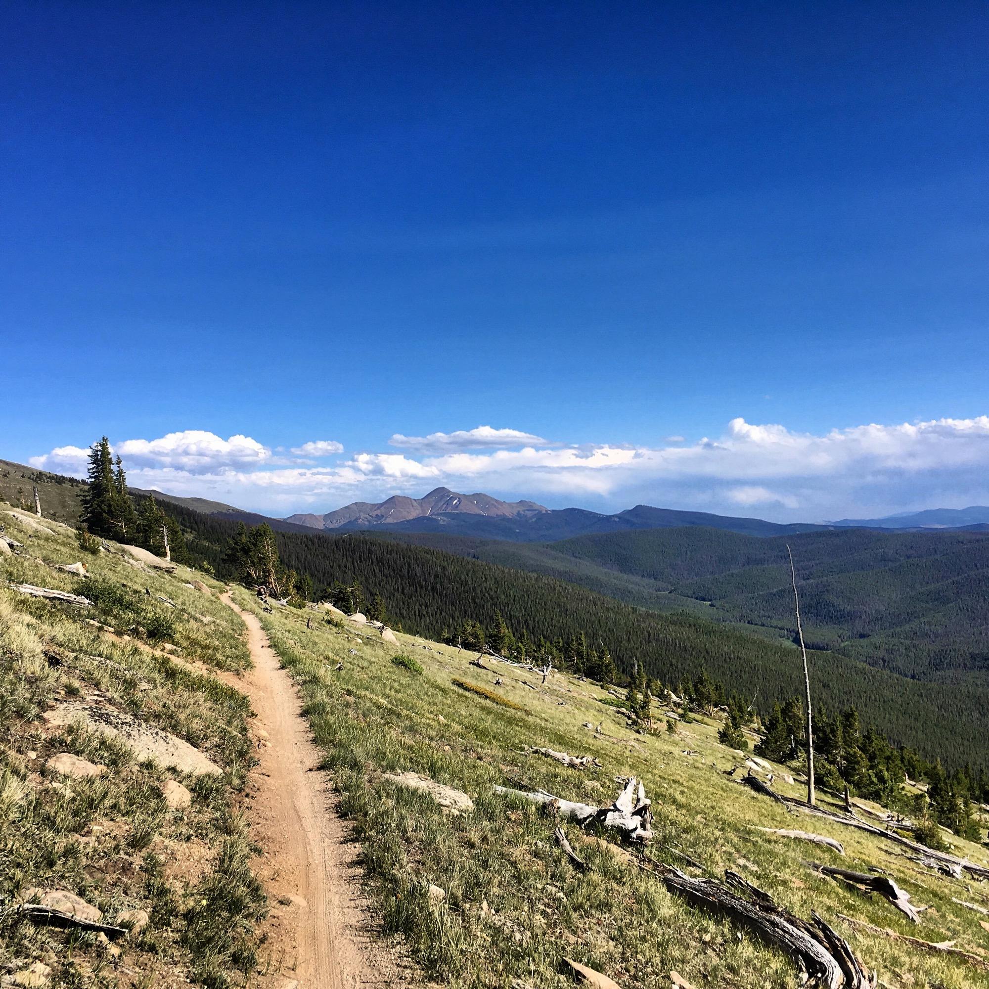 A winding dirt path leads through a grassy hillside, surrounded by tall pine trees and rocky outcrops. In the background, majestic mountains rise against a clear blue sky dotted with a few fluffy clouds, showcasing a serene natural landscape. Monarch Crest Trail mountain bike trail.