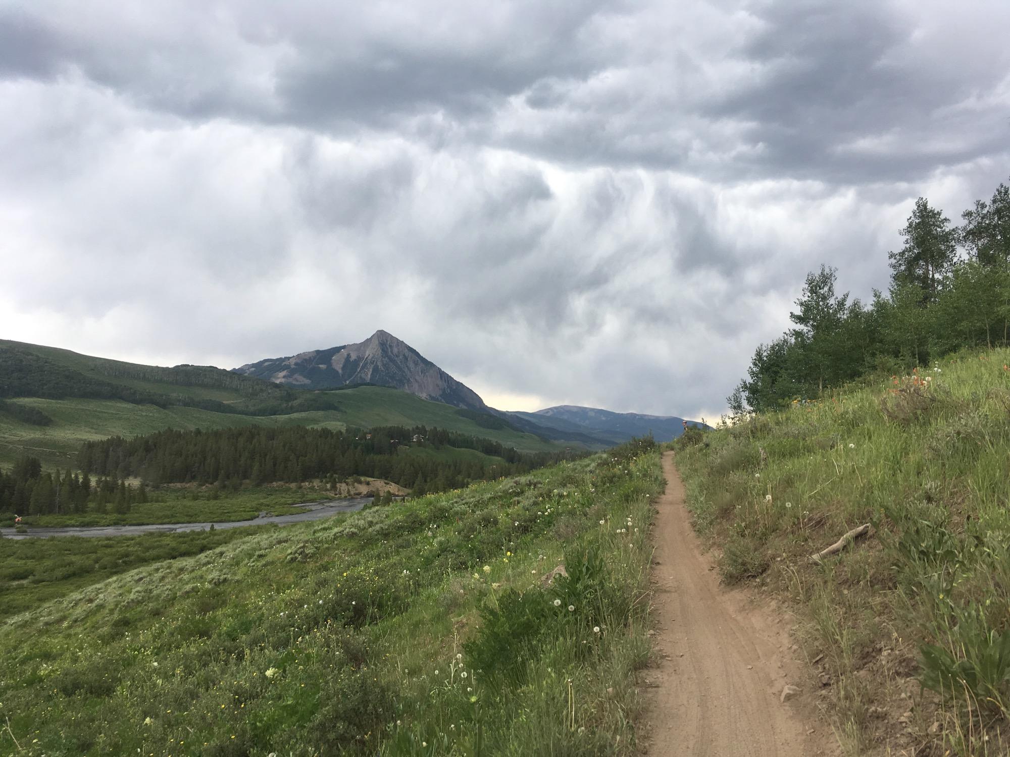 A winding dirt path leads through a lush green landscape, flanked by wildflowers and tall grass. In the background, a prominent mountain peak rises under a dramatic sky filled with gray clouds. The scene captures the beauty of nature with rolling hills and patches of forest. Lower Loop mountain bike trail.