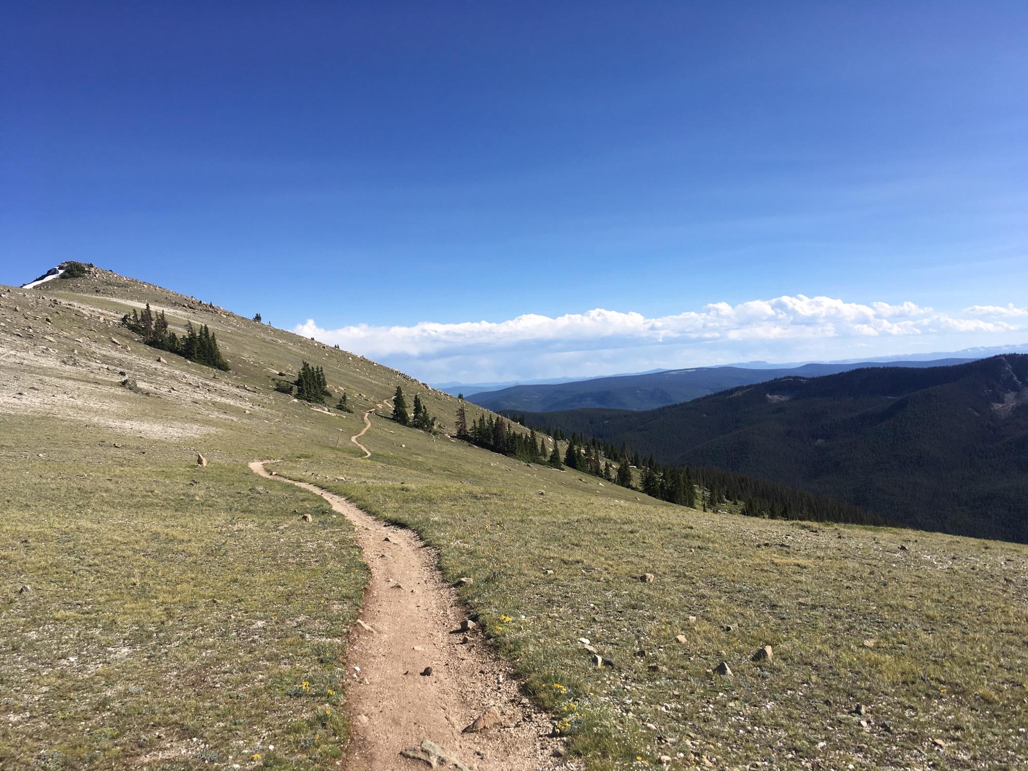 A winding dirt trail leading through a grassy landscape, surrounded by scattered rocks and evergreen trees, with a distant view of rolling mountains under a blue sky with some clouds. Monarch Crest Trail mountain bike trail.