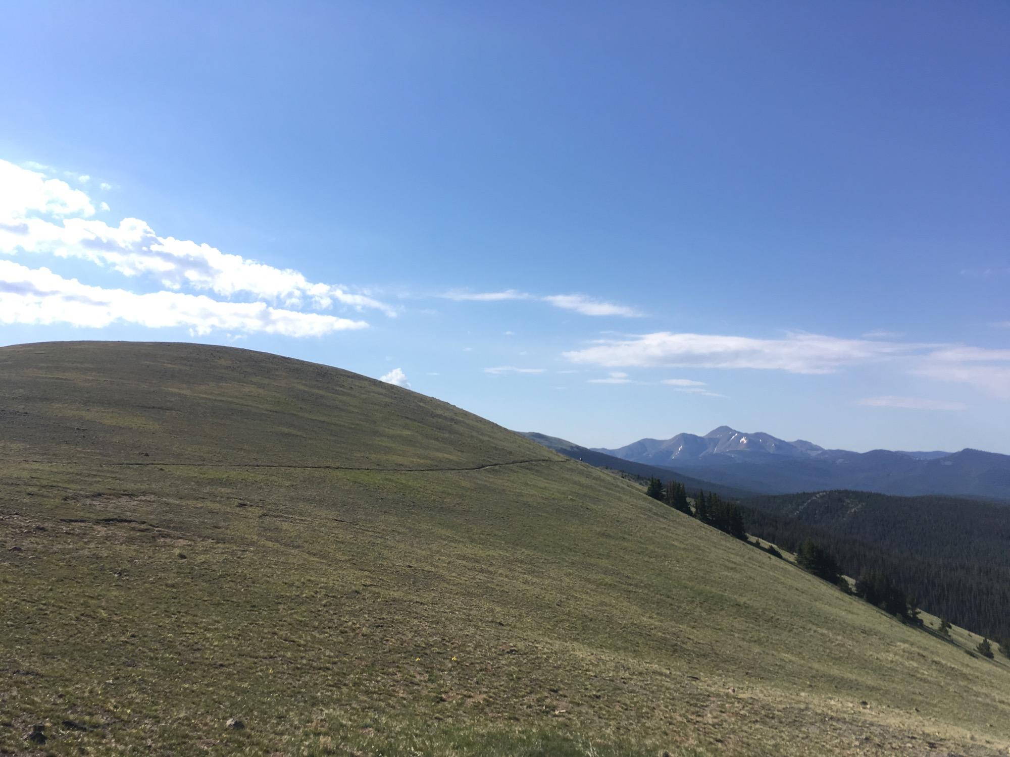A panoramic view of a gently rolling grassy hillside under a clear blue sky, with distant mountains visible in the background.细 Monarch Crest Trail mountain bike trail.