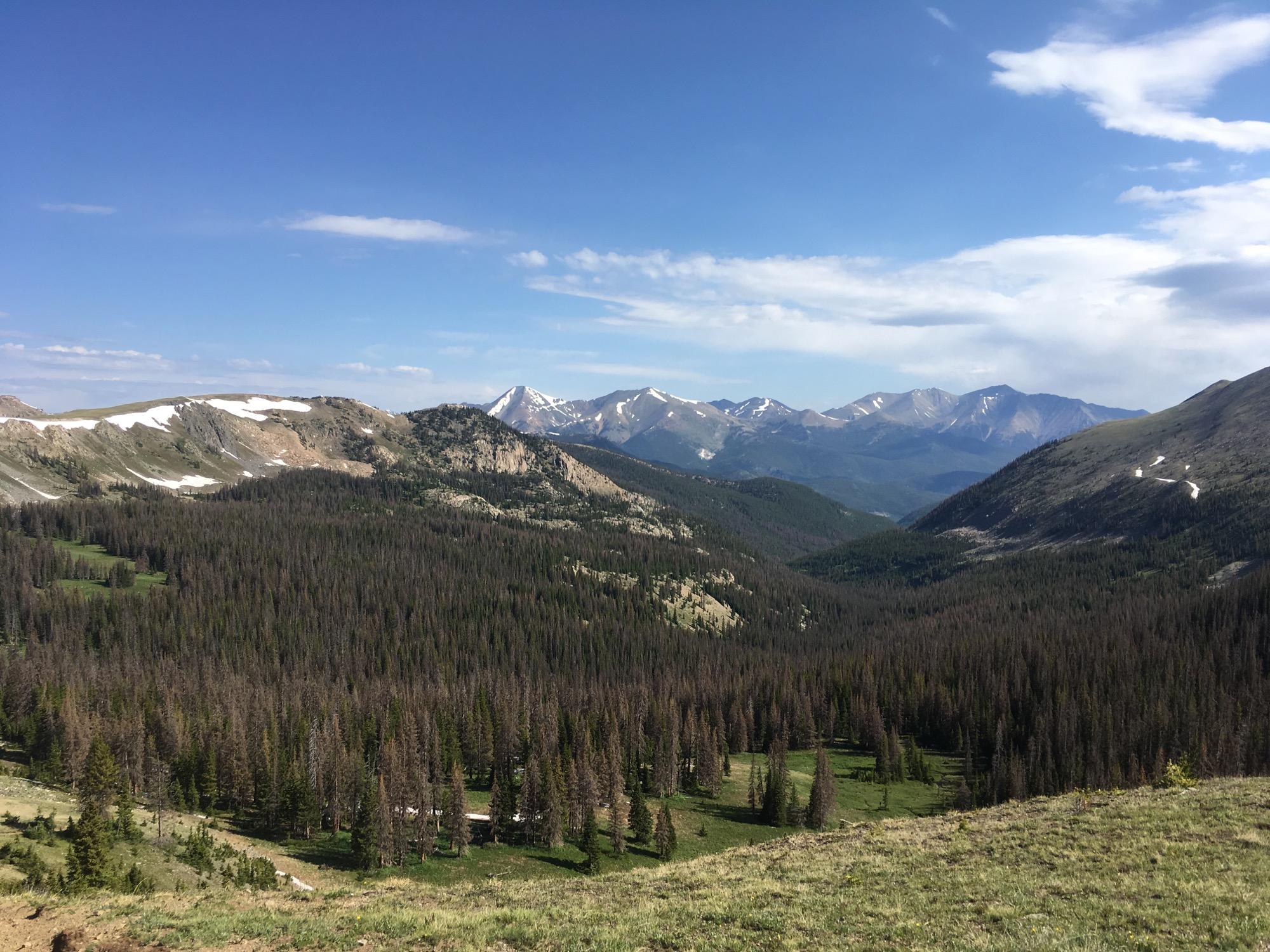 A panoramic view of a mountainous landscape, featuring green valleys filled with pine trees and snow-capped peaks in the distance under a blue sky with scattered clouds. Monarch Crest Trail mountain bike trail.