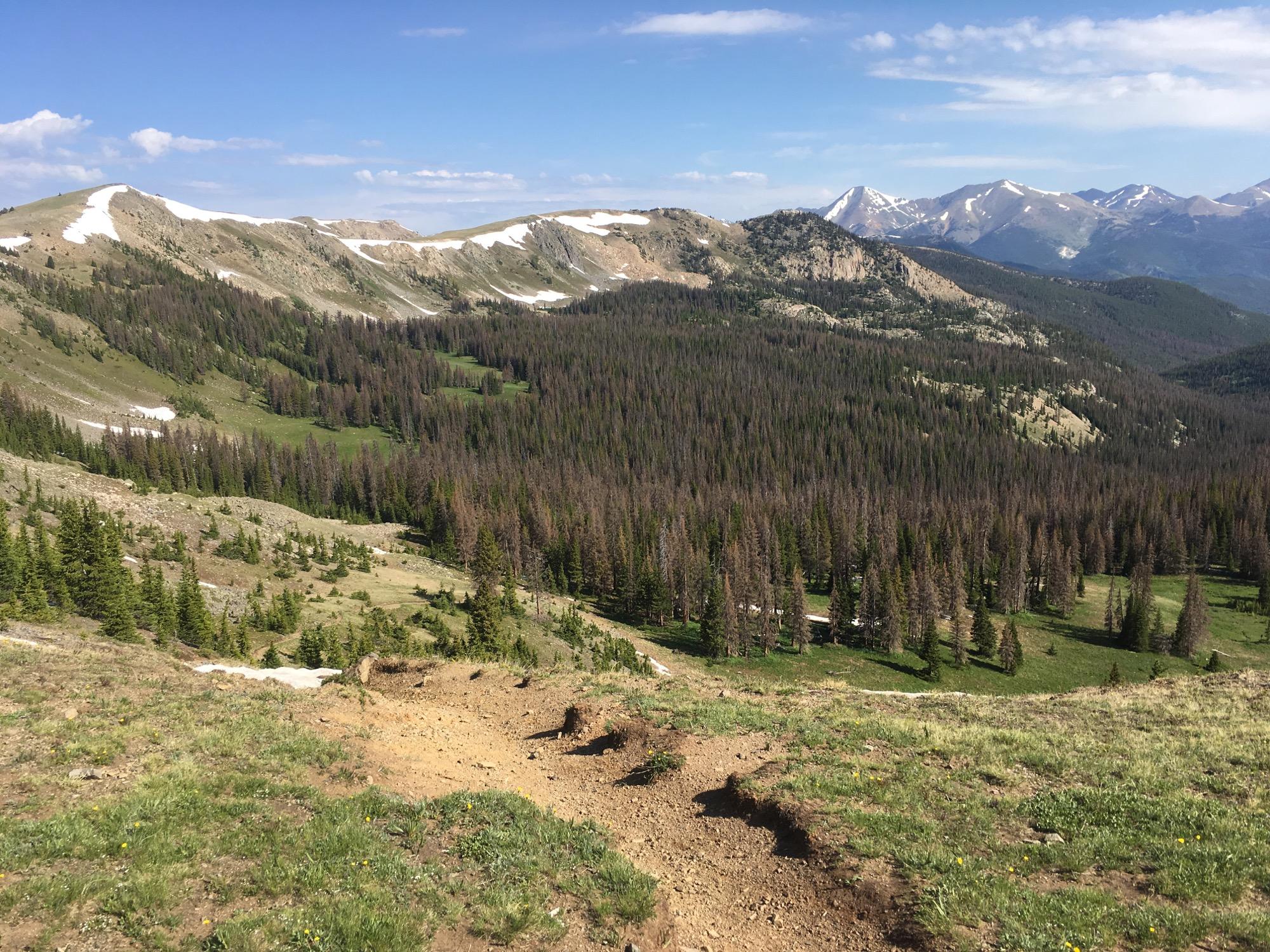 A scenic mountain landscape featuring rolling hills, patches of snow, and a dense forest of evergreen trees. The view stretches across valleys, with a mix of greenery and rocky terrain, under a clear blue sky with a few clouds. Snow-capped peaks are visible in the distance. Monarch Crest Trail mountain bike trail.