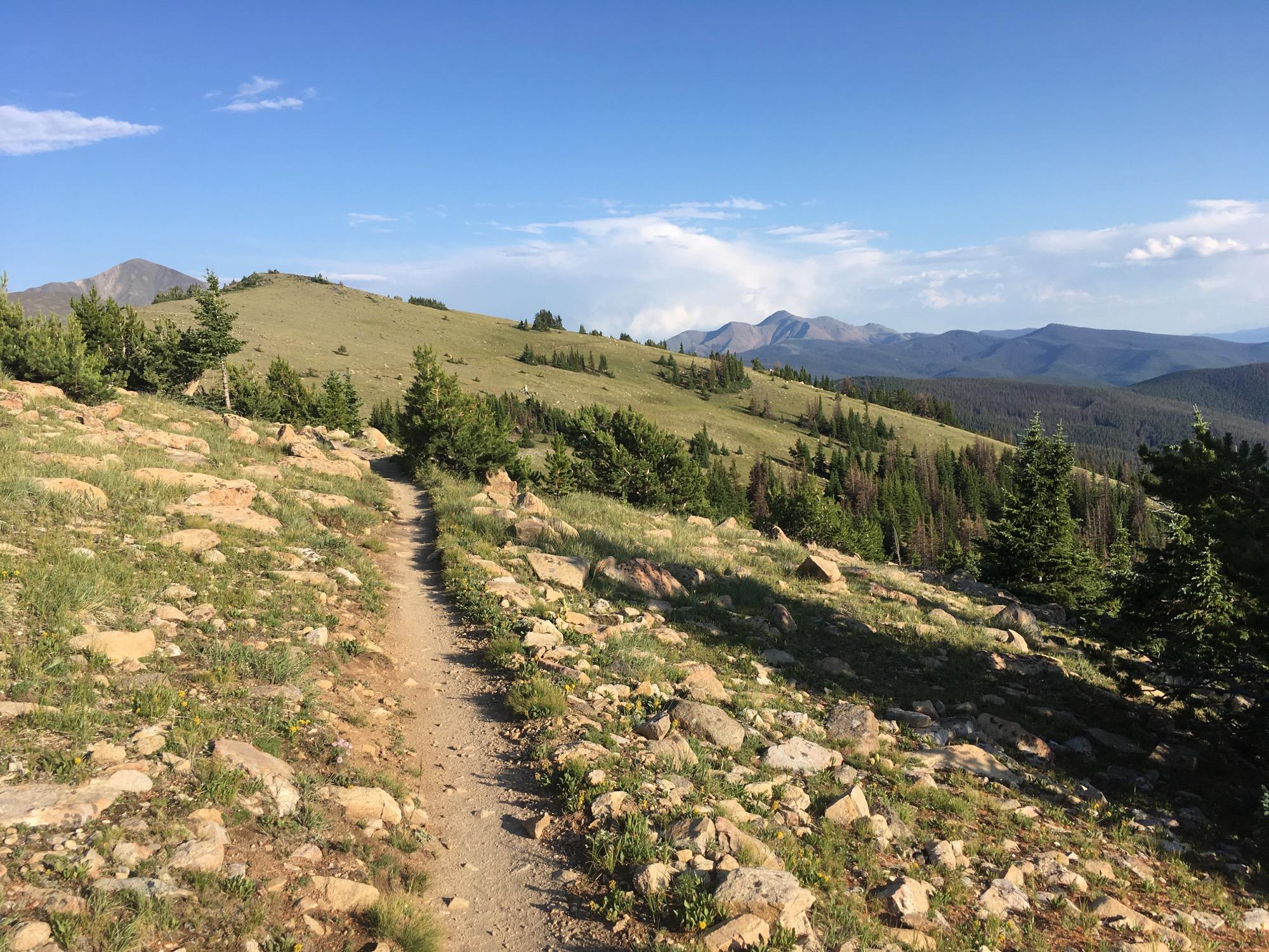 A winding dirt path meanders through a rocky landscape, surrounded by grassy hills and patches of trees under a clear blue sky. In the background, mountain peaks create a scenic horizon. Monarch Crest Trail mountain bike trail.