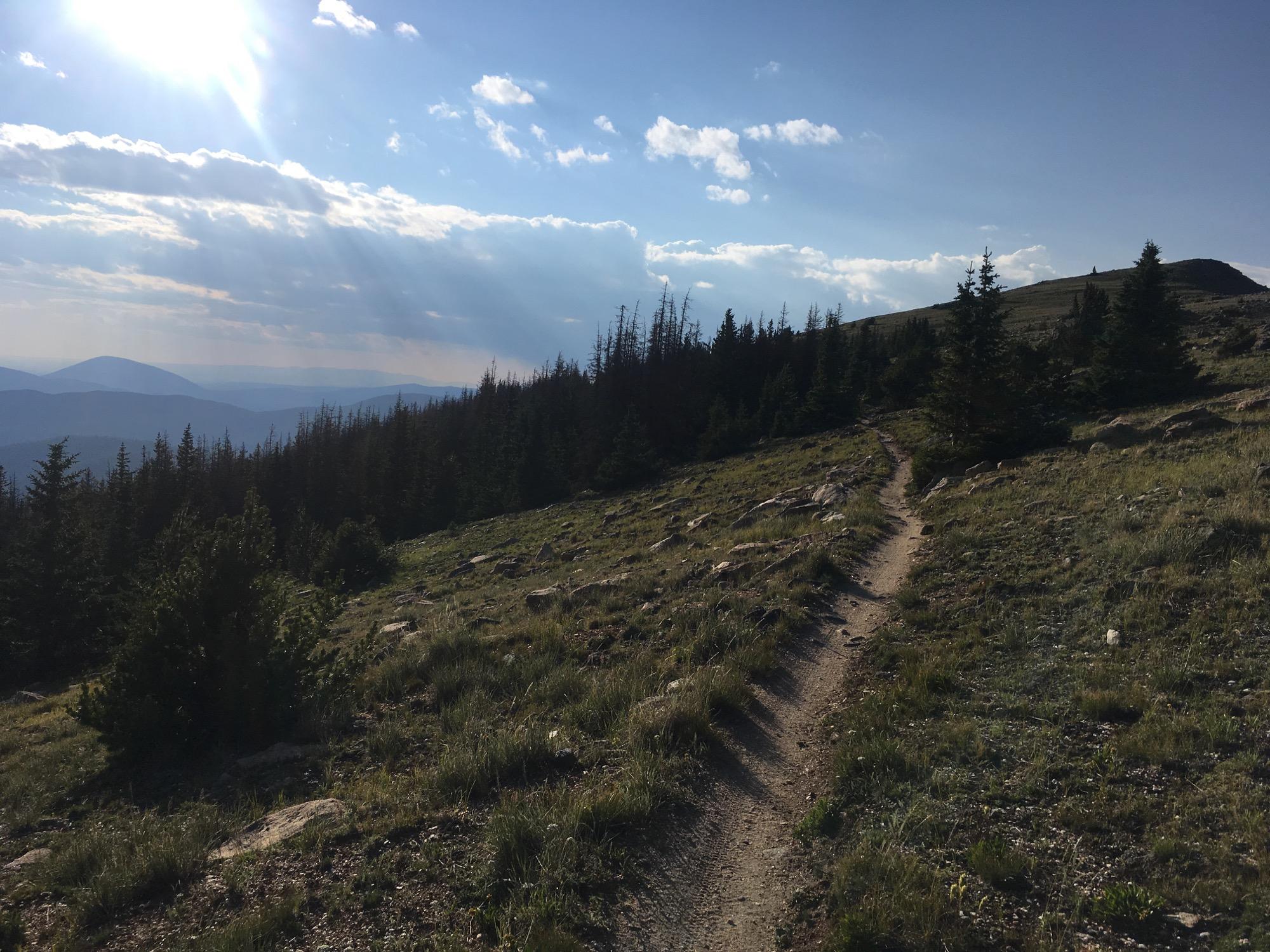 A scenic view of a hiking trail winding through a grassy hillside, flanked by evergreen trees, with mountains in the background under a partly cloudy sky. Sunlight beams down, casting a warm glow over the landscape. Monarch Crest Trail mountain bike trail.