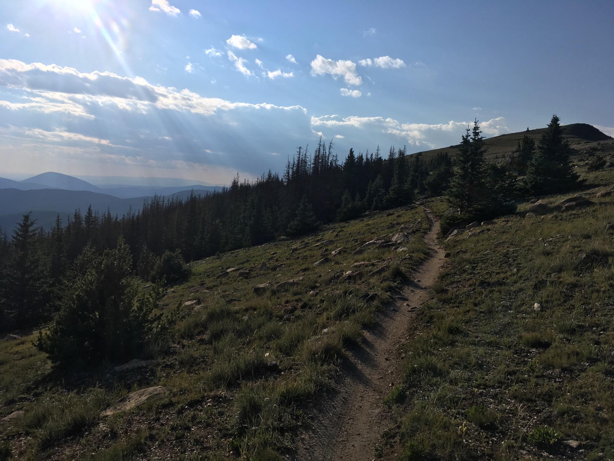 A scenic mountain trail winding through a forested landscape, with sunlight filtering through clouds and casting rays onto distant mountains. The path is flanked by patches of grass and rocky outcrops, creating a peaceful, natural atmosphere. Monarch Crest Trail mountain bike trail.