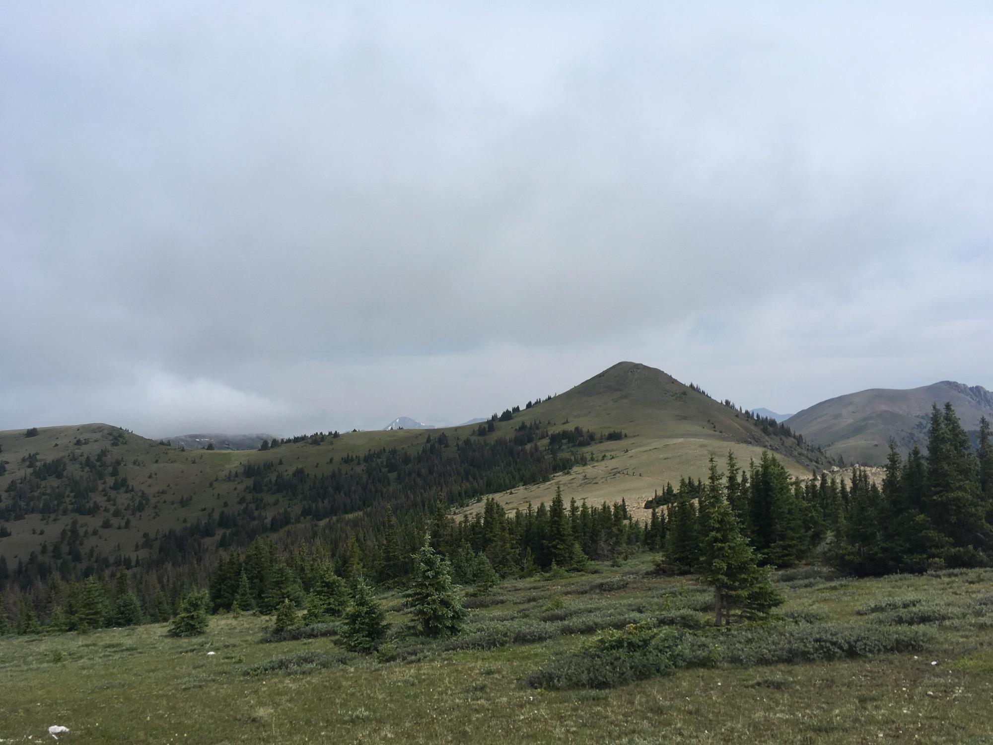 A scenic view of rolling hills and mountains under a cloudy sky, with patches of evergreen trees in the foreground and a grassy landscape. The atmosphere conveys a serene and tranquil natural environment. Monarch Crest Trail mountain bike trail.
