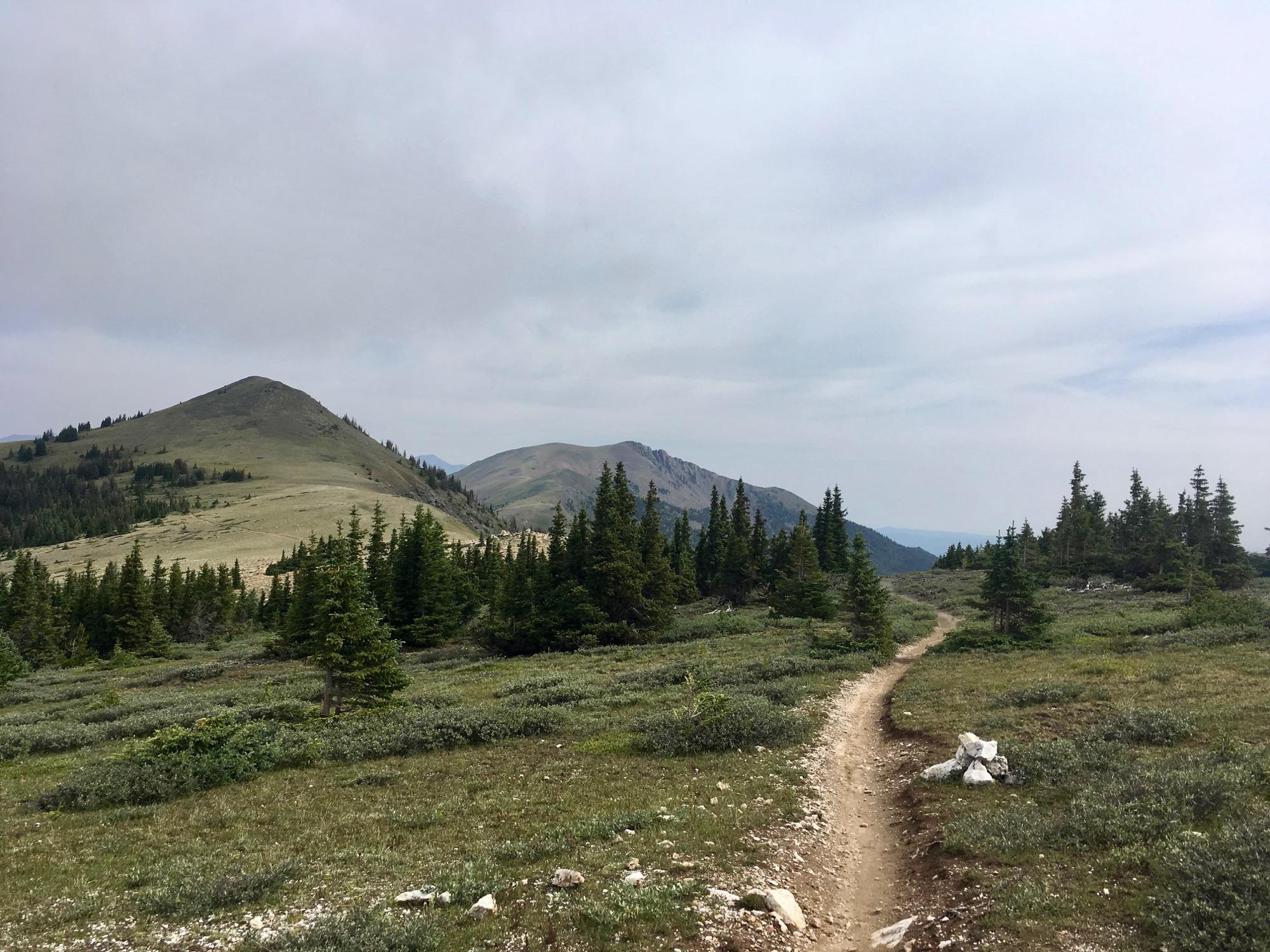 A winding dirt trail leads through a grassy meadow surrounded by coniferous trees, set against a backdrop of rolling hills under a cloudy sky. The landscape is lush and green, suggesting a serene natural environment ideal for hiking and outdoor exploration. Monarch Crest Trail mountain bike trail.