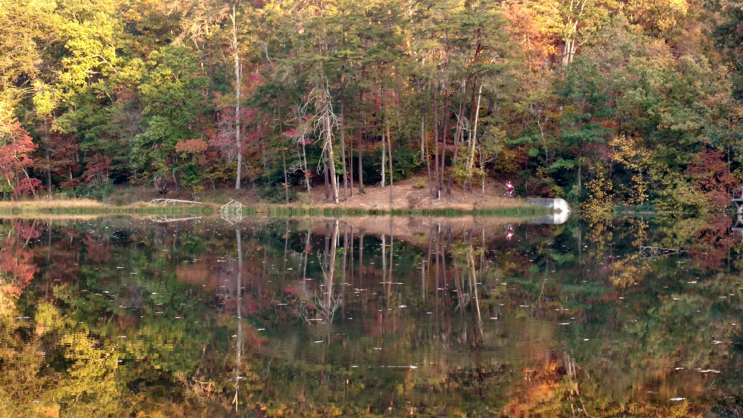 A serene lakeside scene featuring autumn foliage. The colorful trees in various shades of red, orange, and green are reflected in the calm water of the lake. A sandy area with a slight incline is visible, where a lone figure can be seen near the water's edge. The overall atmosphere conveys a peaceful, natural setting, perfect for enjoying the fall season. Lake Russell Loop mountain bike trail.