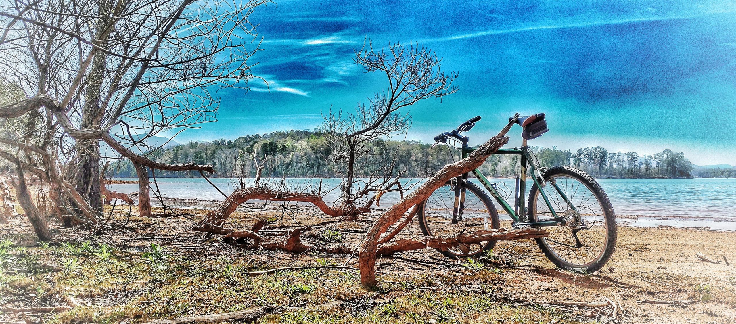 A green mountain bike is resting against a gnarled tree branch on a sandy lakeshore. The background features a calm lake with distant green hills under a bright blue sky, creating a serene outdoor setting. Sparse foliage and fallen branches surround the bike, adding to the natural atmosphere. Jack Rabbit Trails mountain bike trail.