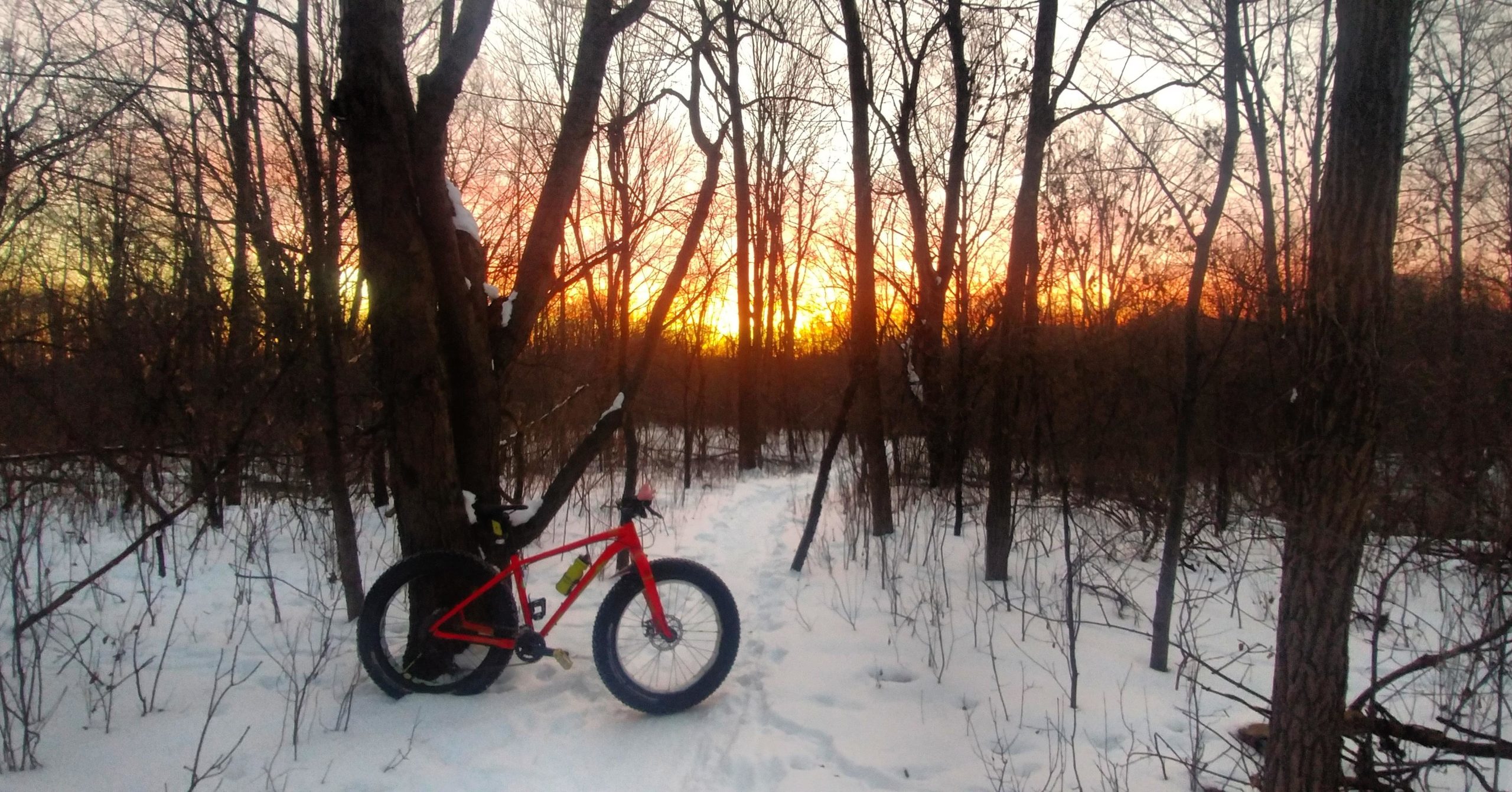 A vibrant sunset casting warm orange and yellow hues in a winter scene, framed by leafless trees. In the foreground, a red fat bike rests against a tree, with a snowy path winding through the woods. Snow covers the ground, creating a serene and peaceful atmosphere. Maybury mountain bike trail.