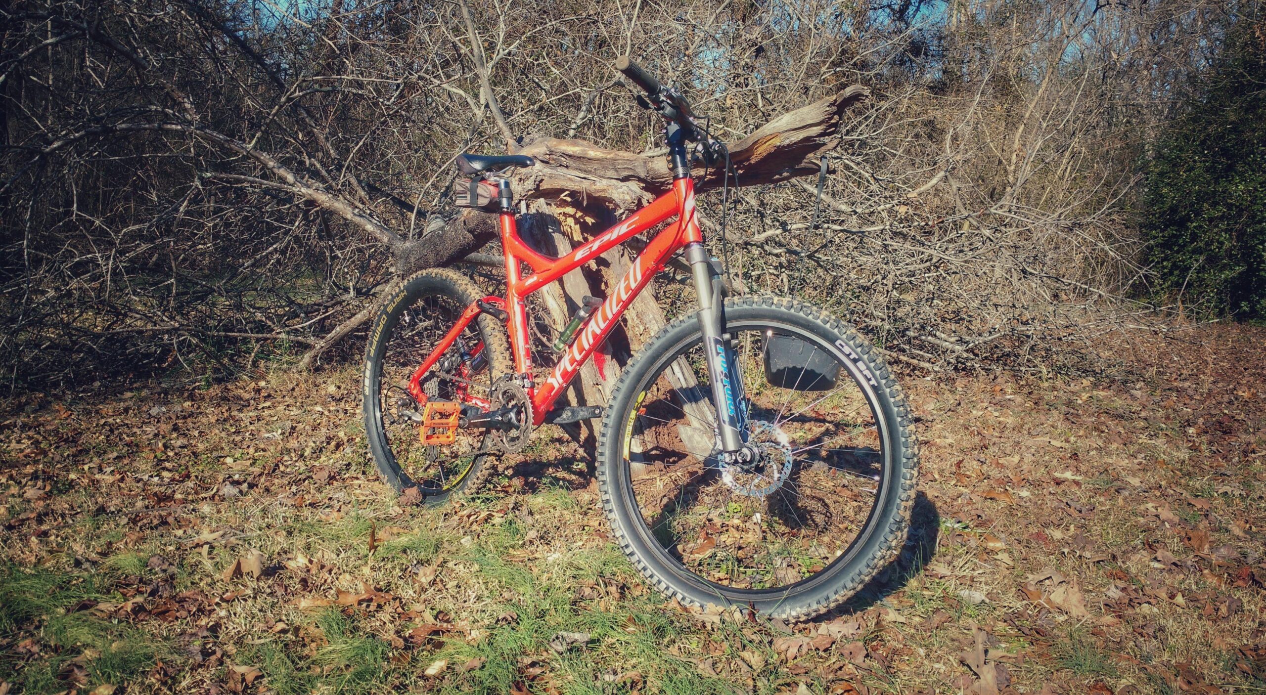 Specialized Epic: A bright orange mountain bike resting on the ground with a backdrop of fallen branches and dried leaves. The bike features thick tires and a sturdy frame, set against a natural outdoor setting.