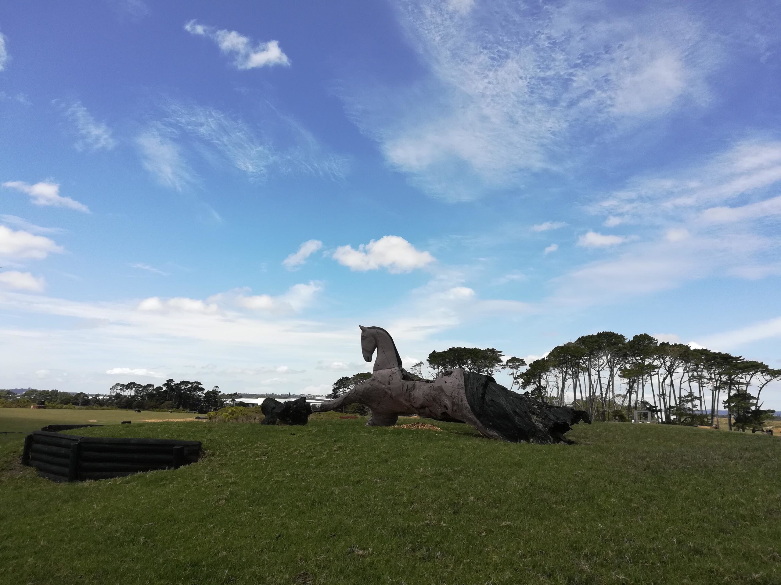 A large wooden sculpture of a horse lies on green grass under a partly cloudy blue sky, with trees in the background. Puhinui Reserve mountain bike trail.