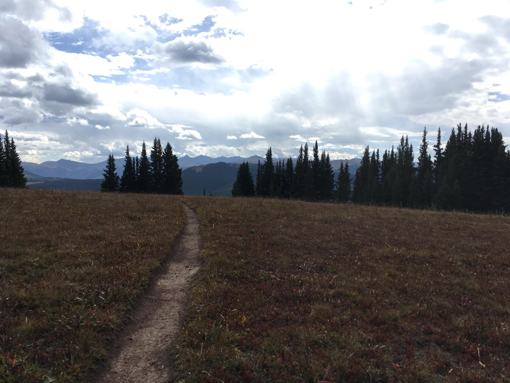 A winding dirt trail leads through a grassy meadow, bordered by tall evergreen trees. In the background, mountains rise under a partly cloudy sky, creating a serene and expansive natural landscape. Two Elk via Vail Pass mountain bike trail.