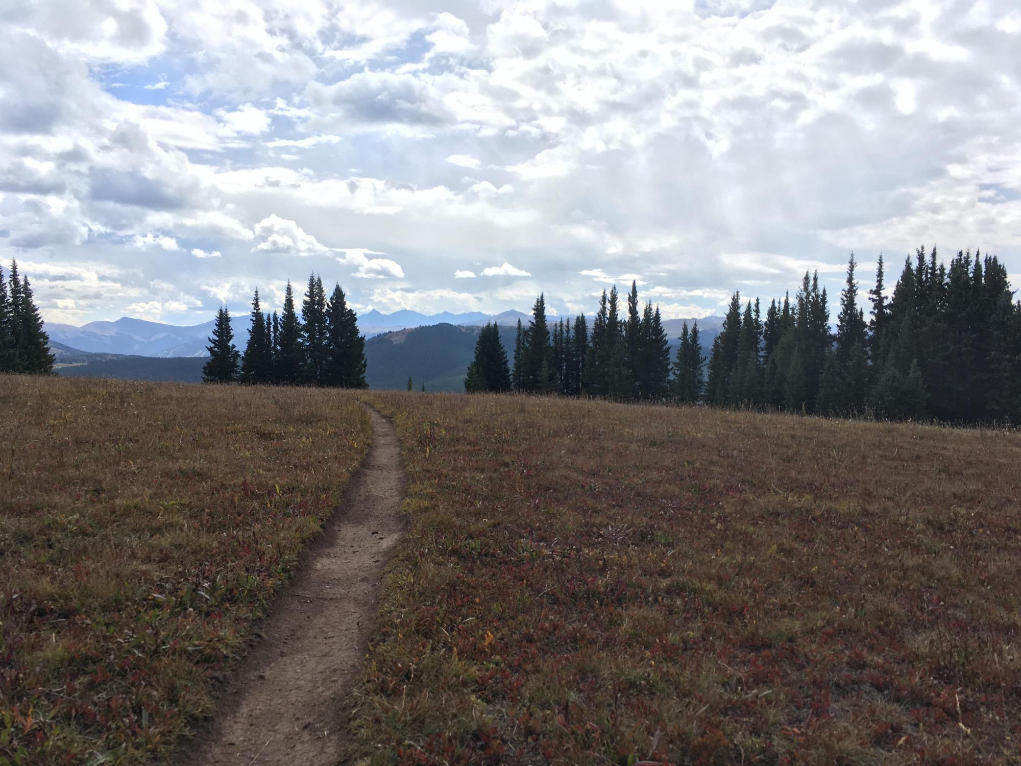 A winding dirt path leads through a grassy meadow, bordered by evergreen trees. In the background, distant mountains are visible under a cloudy sky, creating a serene natural landscape. Two Elk via Vail Pass mountain bike trail.