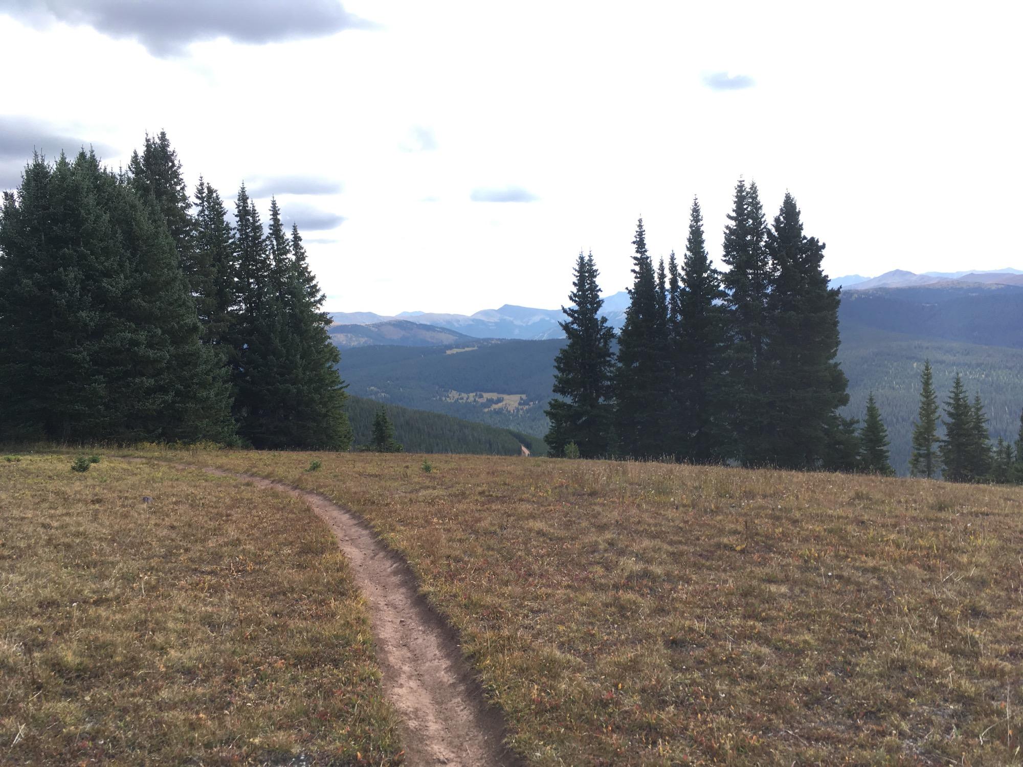 A winding dirt path leads through an open field, bordered by tall evergreen trees. In the background, rolling hills and mountains create a scenic landscape under a cloudy sky. The space is filled with natural greenery and a sense of tranquility. Two Elk via Vail Pass mountain bike trail.
