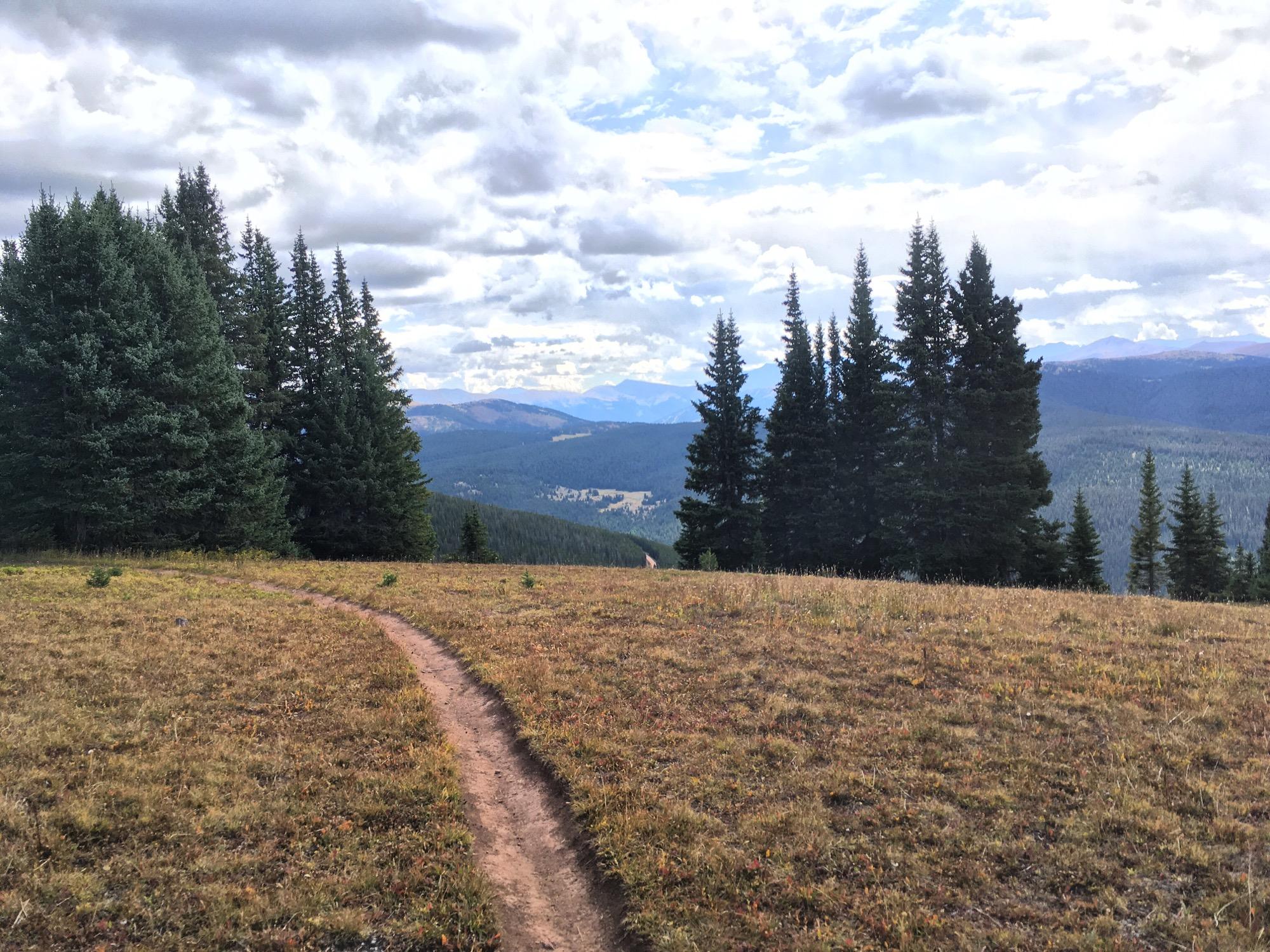 A winding dirt trail leads through a grassy meadow adorned with patches of colorful autumn foliage, bordered by tall evergreen trees. In the background, rolling mountains stretch under a partly cloudy sky, creating a serene natural landscape. Two Elk via Vail Pass mountain bike trail.