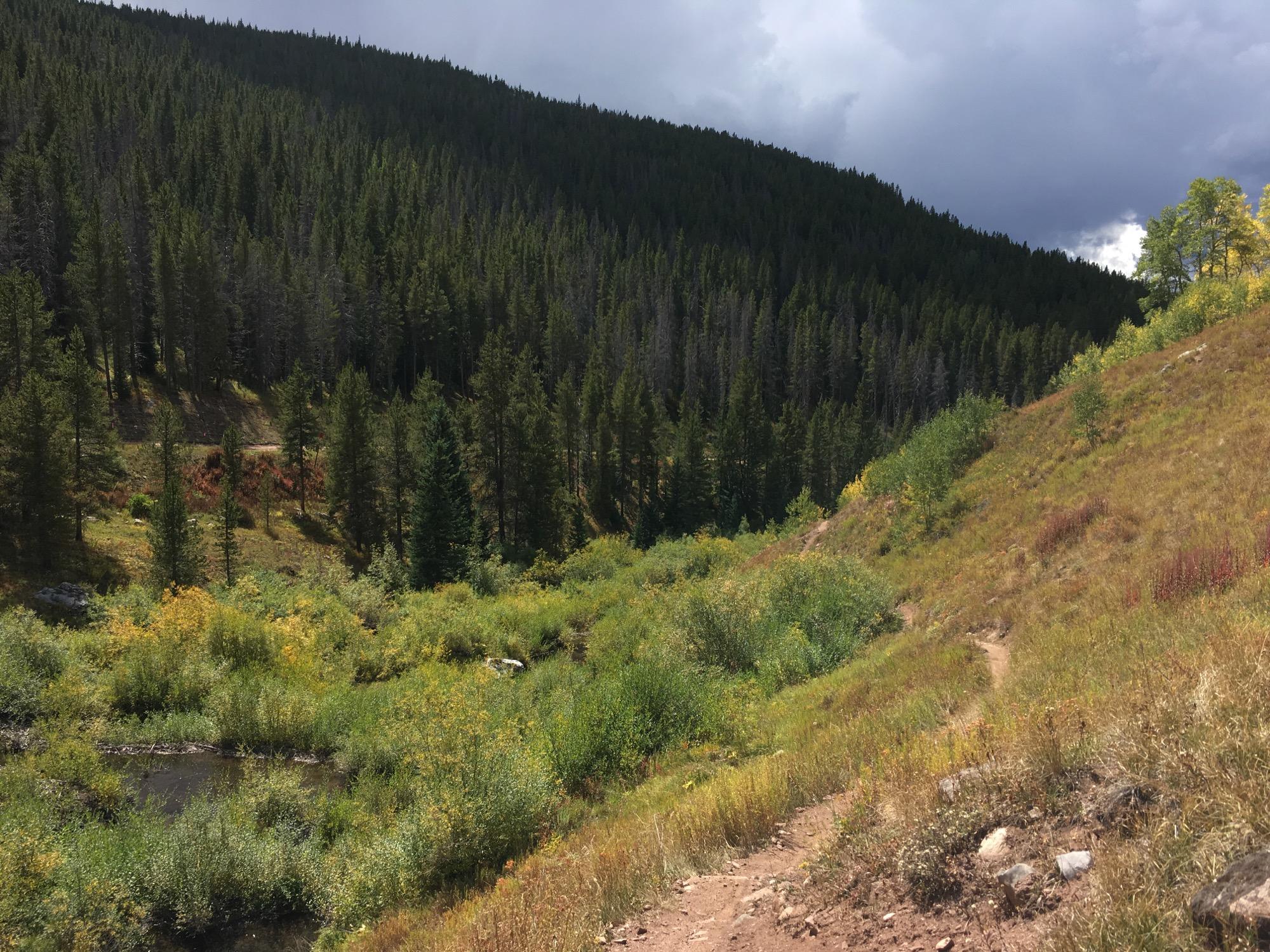 A scenic view of a hiking trail winding through a vibrant landscape, surrounded by dense evergreen trees and patches of colorful foliage. In the foreground, a grassy slope leads down to a small stream bordered by lush greenery, while darker clouds loom overhead, hinting at a change in weather. Two Elk via Vail Pass mountain bike trail.