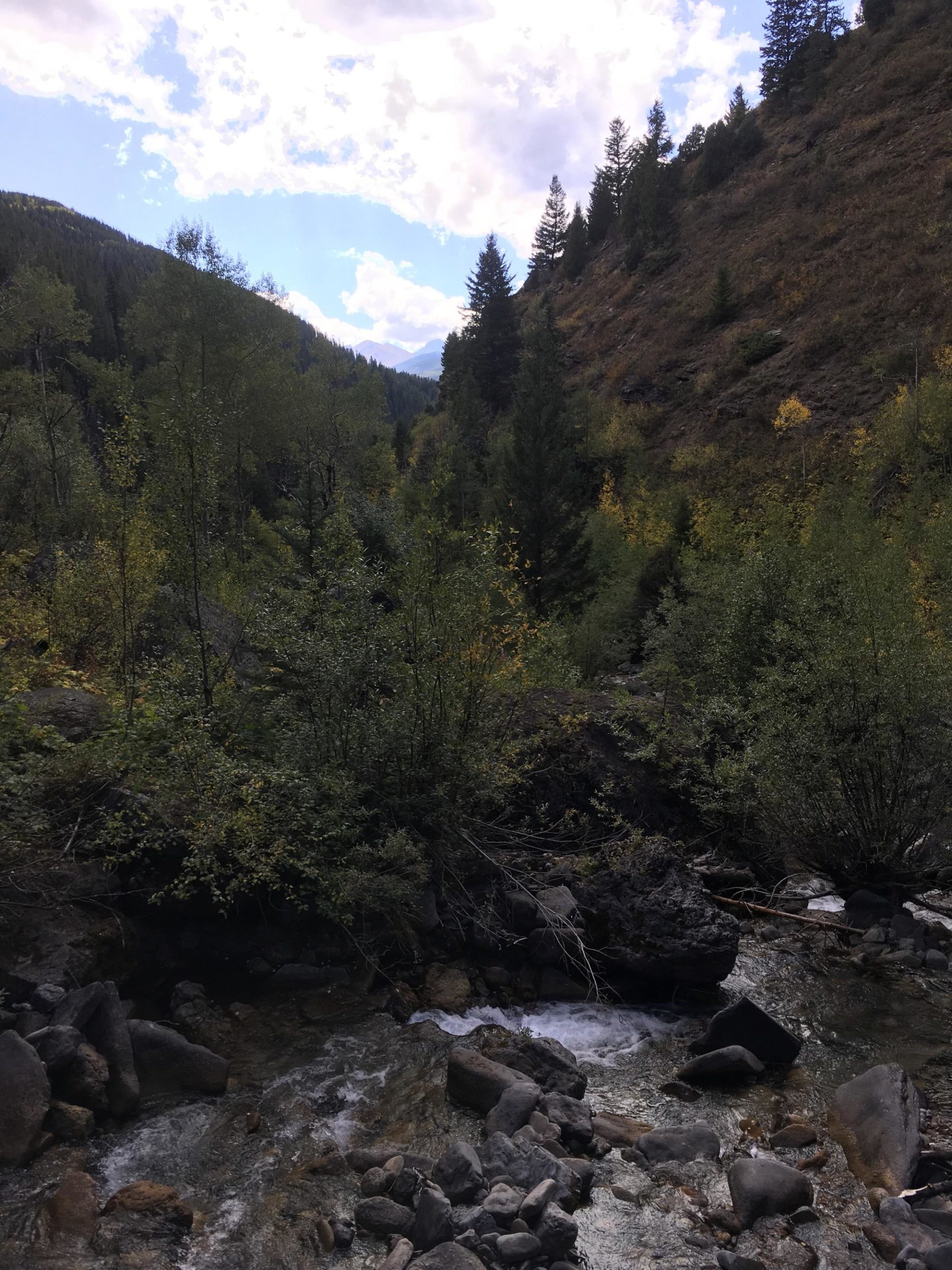 A serene view of a mountain river flowing through a lush, wooded valley. The scene features a variety of trees, including evergreens, with hints of autumn colors. Hills rise on either side under a partly cloudy sky, creating a picturesque natural landscape. Smooth stones and rocky outcrops line the riverbank, adding to the tranquil atmosphere. Two Elk via Vail Pass mountain bike trail.
