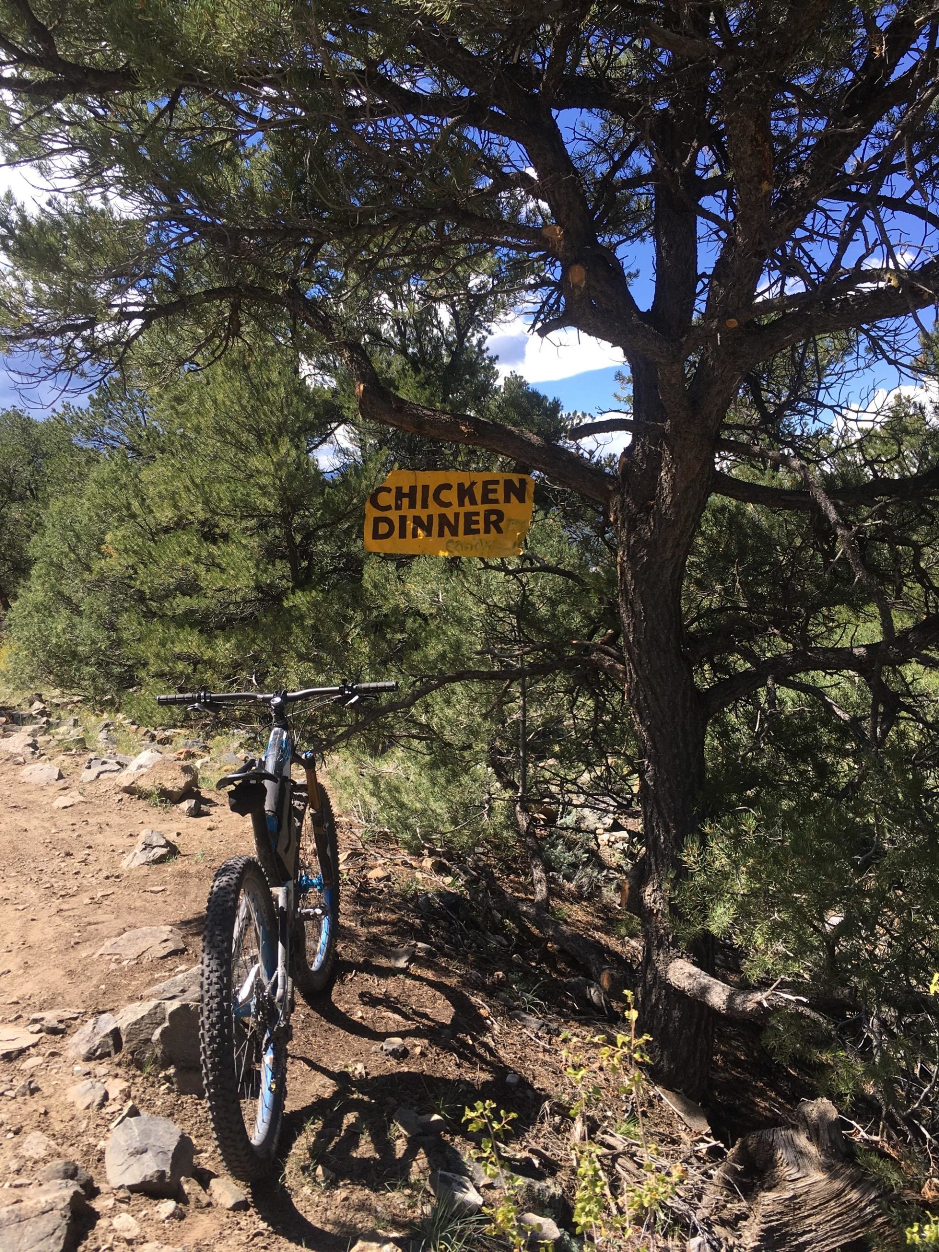 A mountain bike parked on a dirt trail beside a tree, which has a yellow sign reading "CHICKEN DINNER" hanging from its branches. The scene is surrounded by lush greenery and a blue sky with clouds in the background. Chicken Dinner mountain bike trail.
