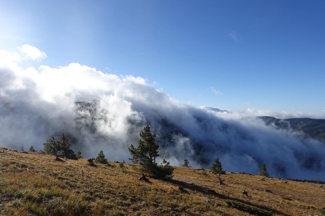 A panoramic view of a mountainous landscape under a clear blue sky, with soft clouds rolling over the hills and valleys. The foreground features patches of grass and scattered pine trees, while the mist gently envelops the lower regions of the mountains in the background. Monarch Crest Trail mountain bike trail.