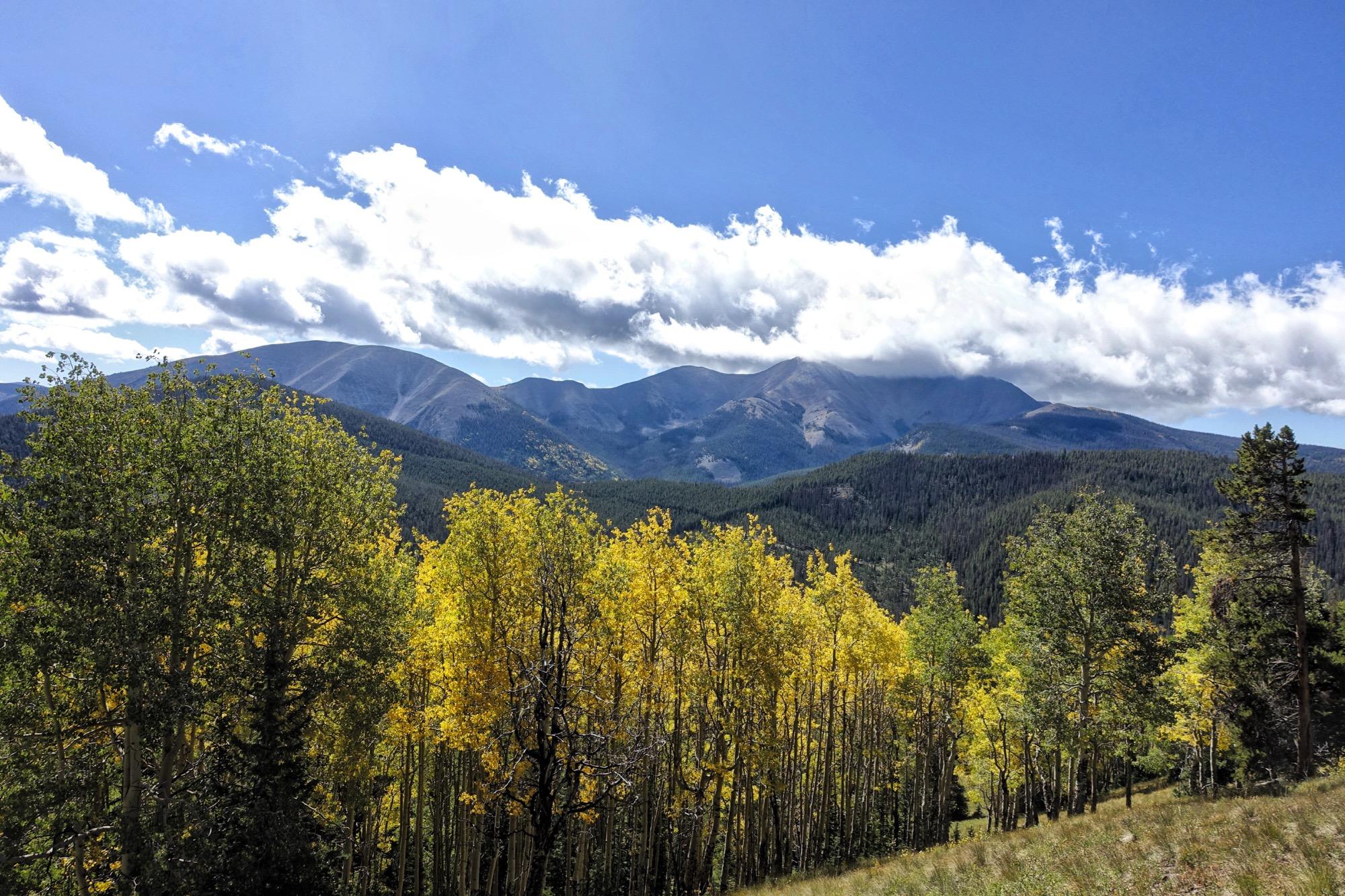 A scenic view of mountains in the background, partially covered by clouds, with vibrant autumn foliage in the foreground. The landscape features a mix of green and golden trees leading into rolling hills. The sky is bright blue with scattered clouds, creating a tranquil, picturesque nature scene. Starvation Creek mountain bike trail.