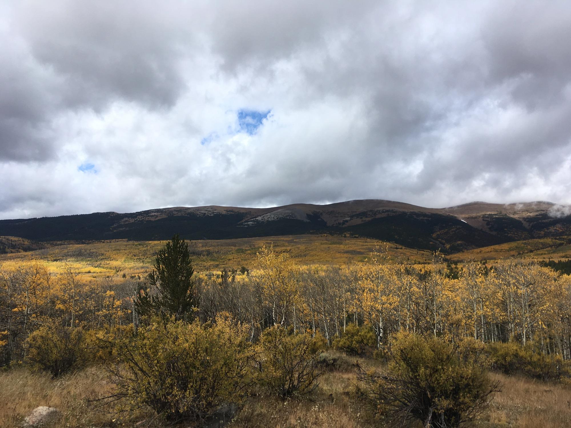 Scenic landscape featuring rolling hills covered in autumn foliage, with vibrant yellow and orange leaves on trees. The sky is predominantly cloudy with patches of blue peeking through. In the foreground, a mix of shrubs and trees is visible, leading up to the mountains in the background, where some areas are dusted with snow. The scene captures the beauty of a fall day in nature. Sheep Creek mountain bike trail.