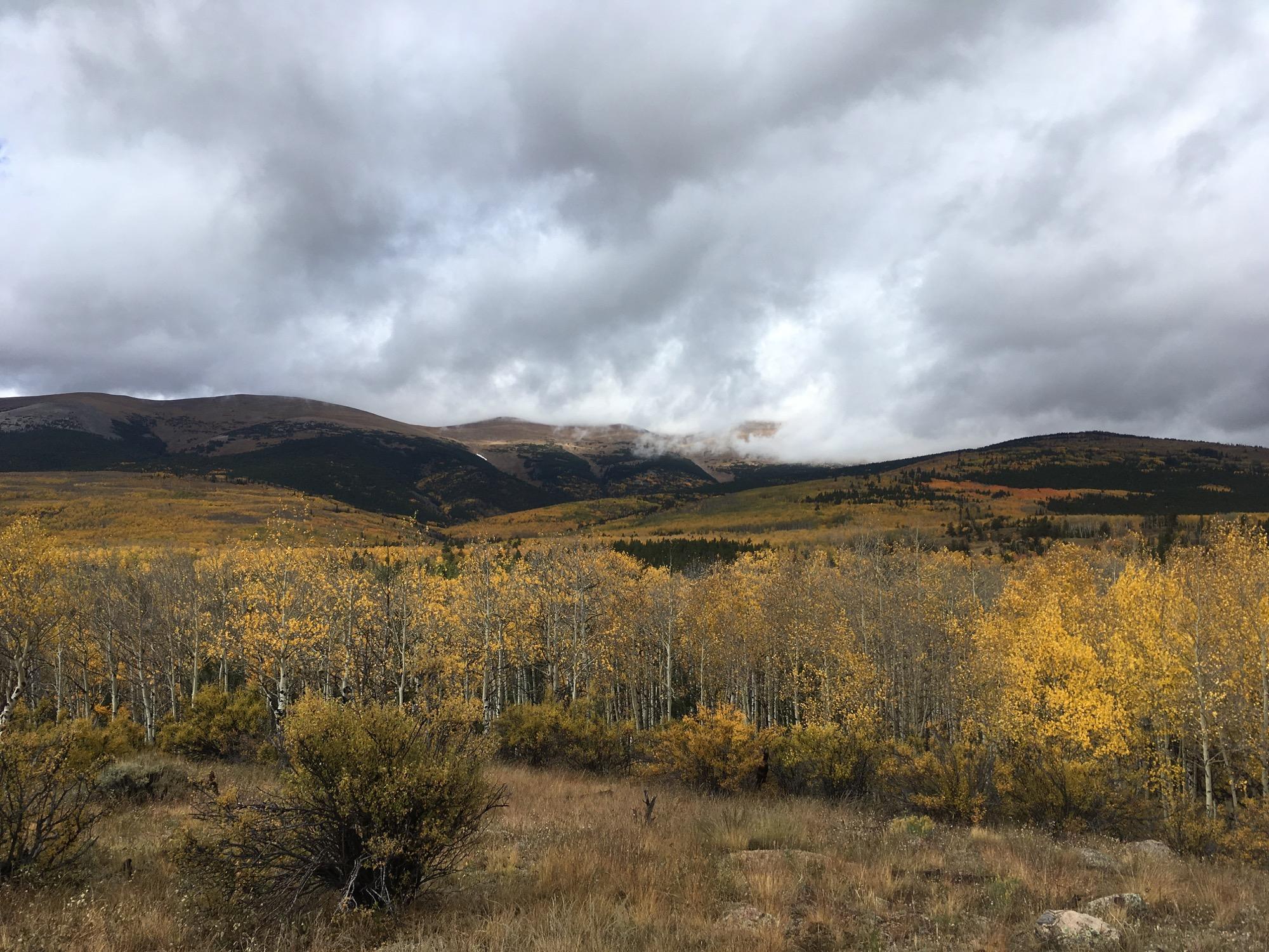 A scenic view of a mountain landscape during autumn, featuring vibrant yellow aspen trees in the foreground and rolling hills in the background. The sky is filled with dramatic, cloudy weather, adding depth to the tranquil natural setting. Sheep Creek mountain bike trail.