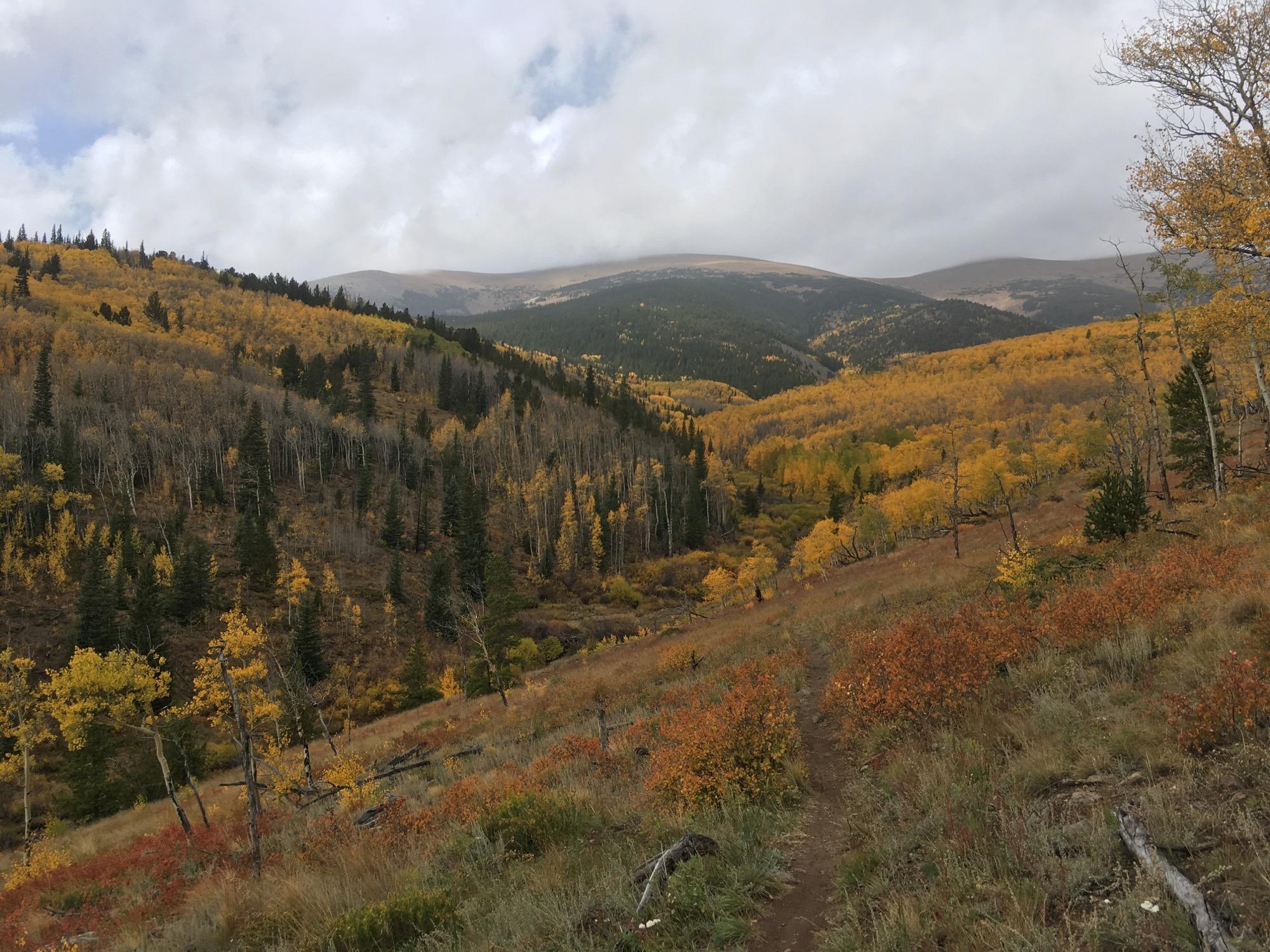 A scenic view of a mountainous landscape during autumn, featuring vibrant yellow and orange foliage among mixed evergreen trees. The foreground includes a grassy area with patches of orange shrubs, while the background reveals rolling hills and a cloudy sky. Sheep Creek mountain bike trail.